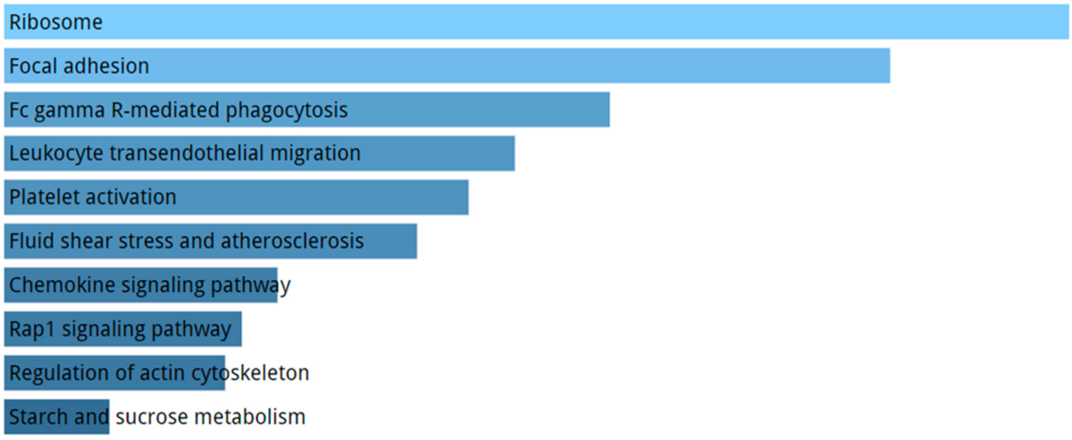 Ijms 21 09500 g007 Ijms 21 09500 g007