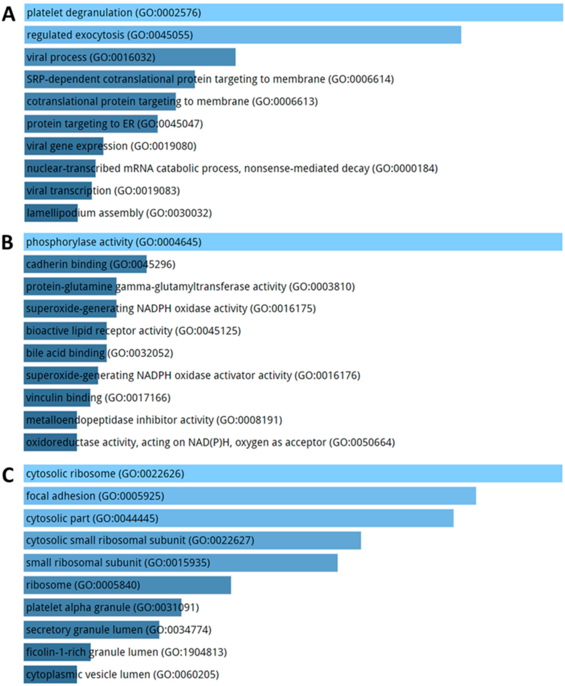 Ijms 21 09500 g008 Ijms 21 09500 g008