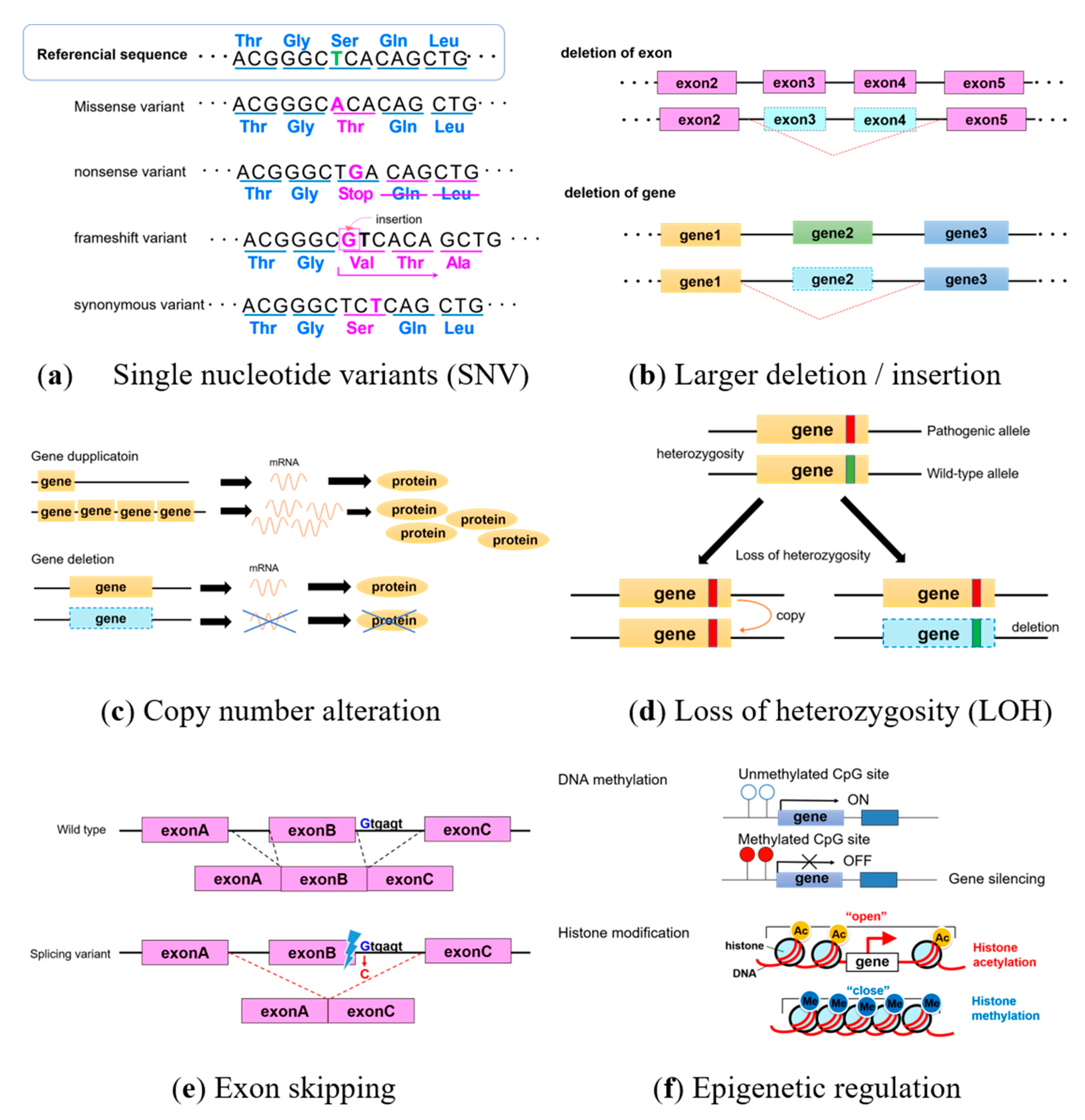 Ijms 21 09504 g001 Ijms 21 09504 g001