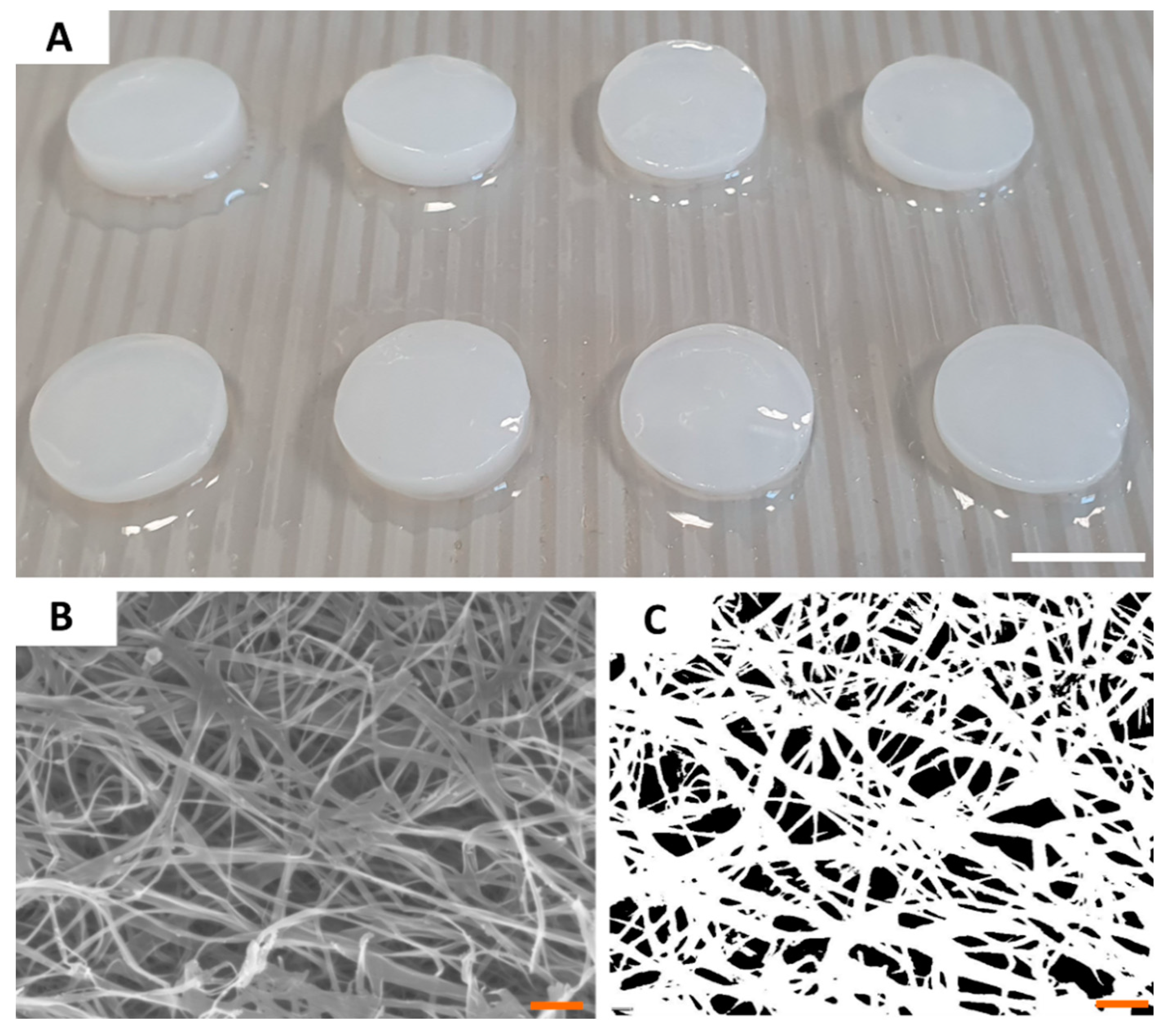 Ijms 21 09507 g002 Ijms 21 09507 g002