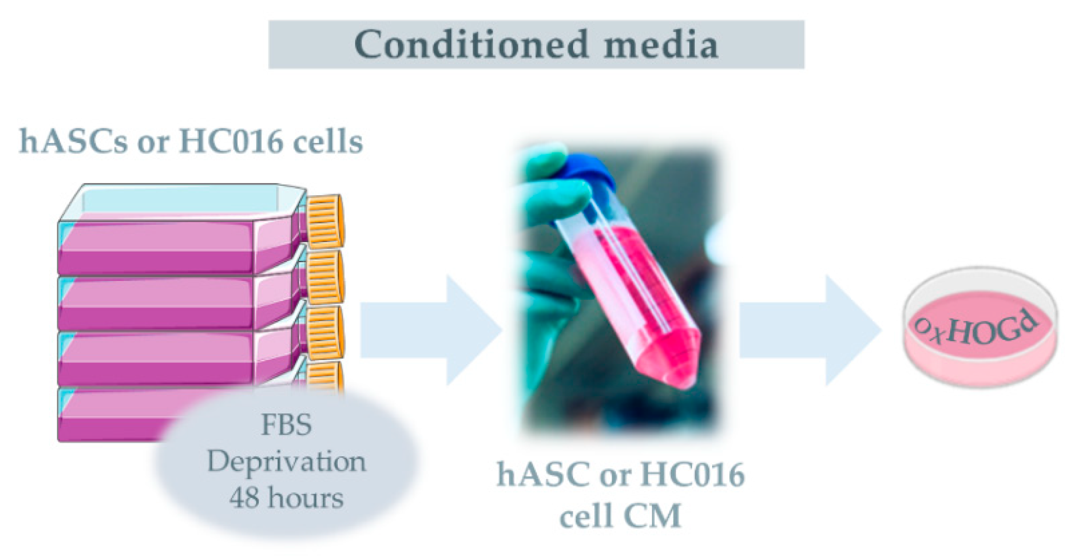 Ijms 21 09513 g006a Ijms 21 09513 g006a