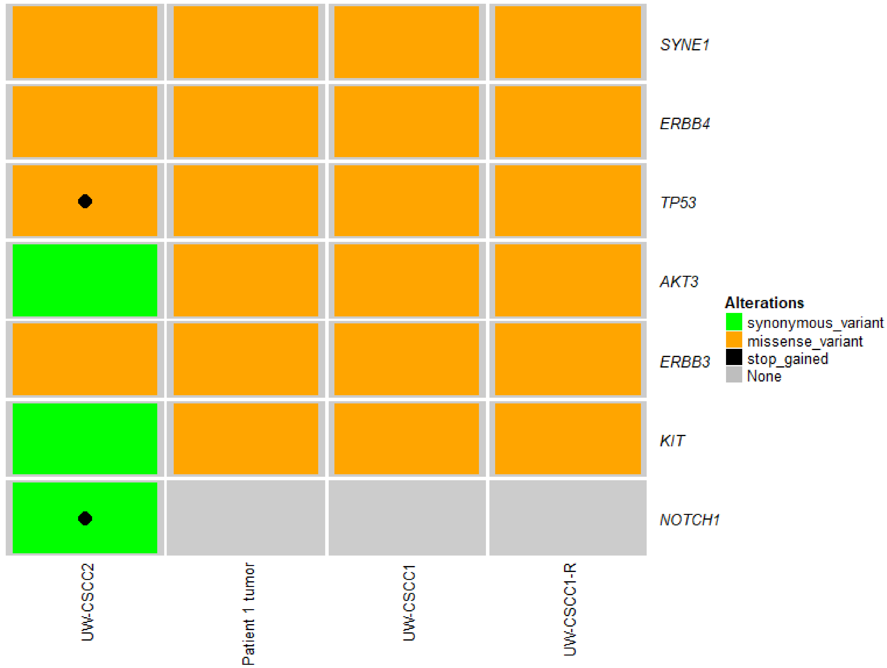 Ijms 21 09536 g003 Ijms 21 09536 g003