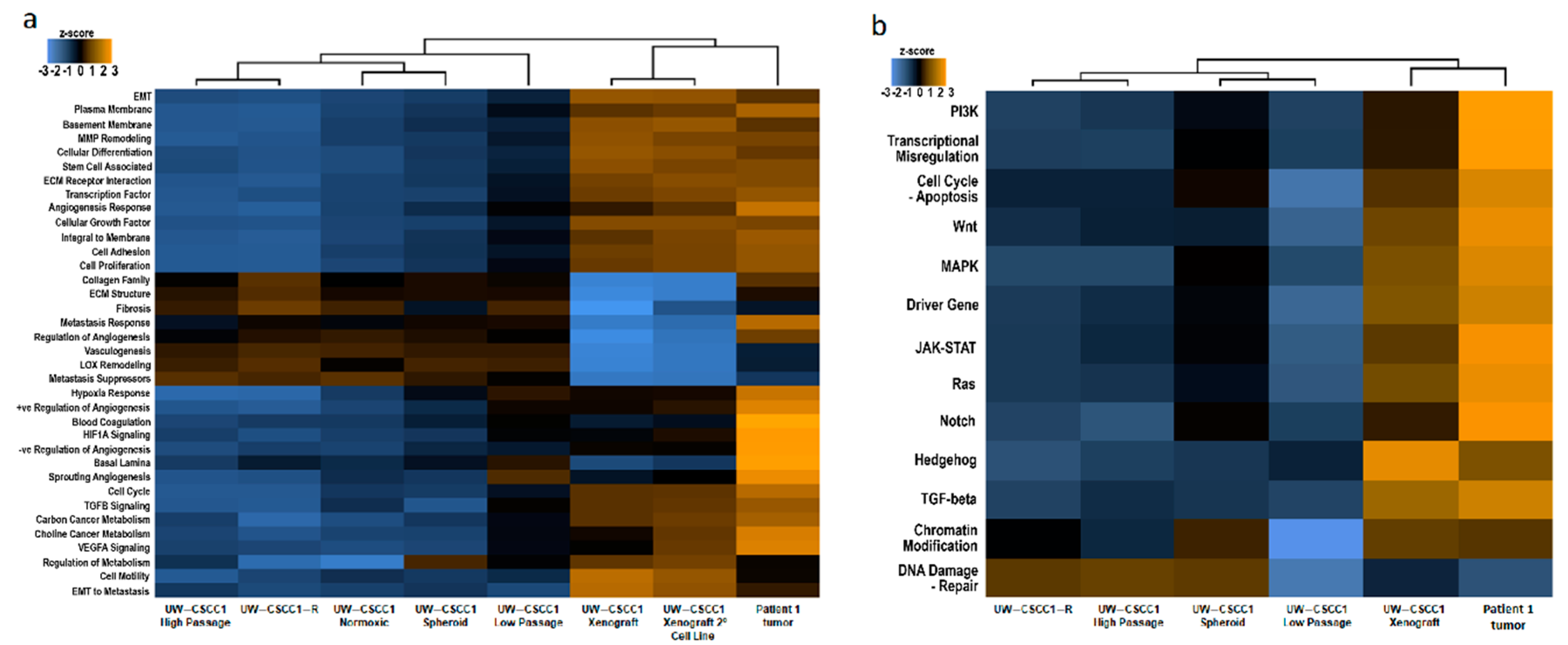 Ijms 21 09536 g004 Ijms 21 09536 g004
