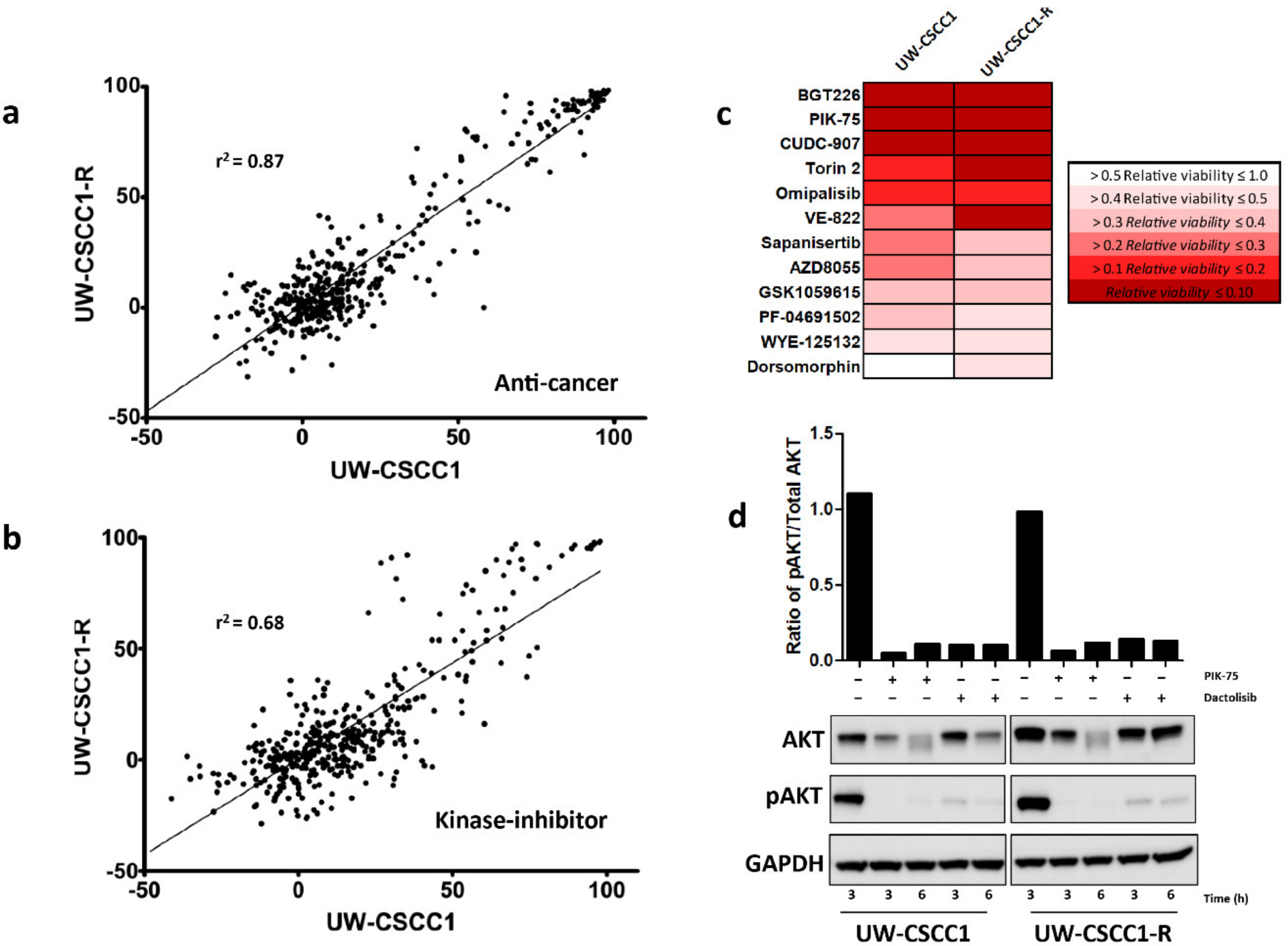 Ijms 21 09536 g005 Ijms 21 09536 g005