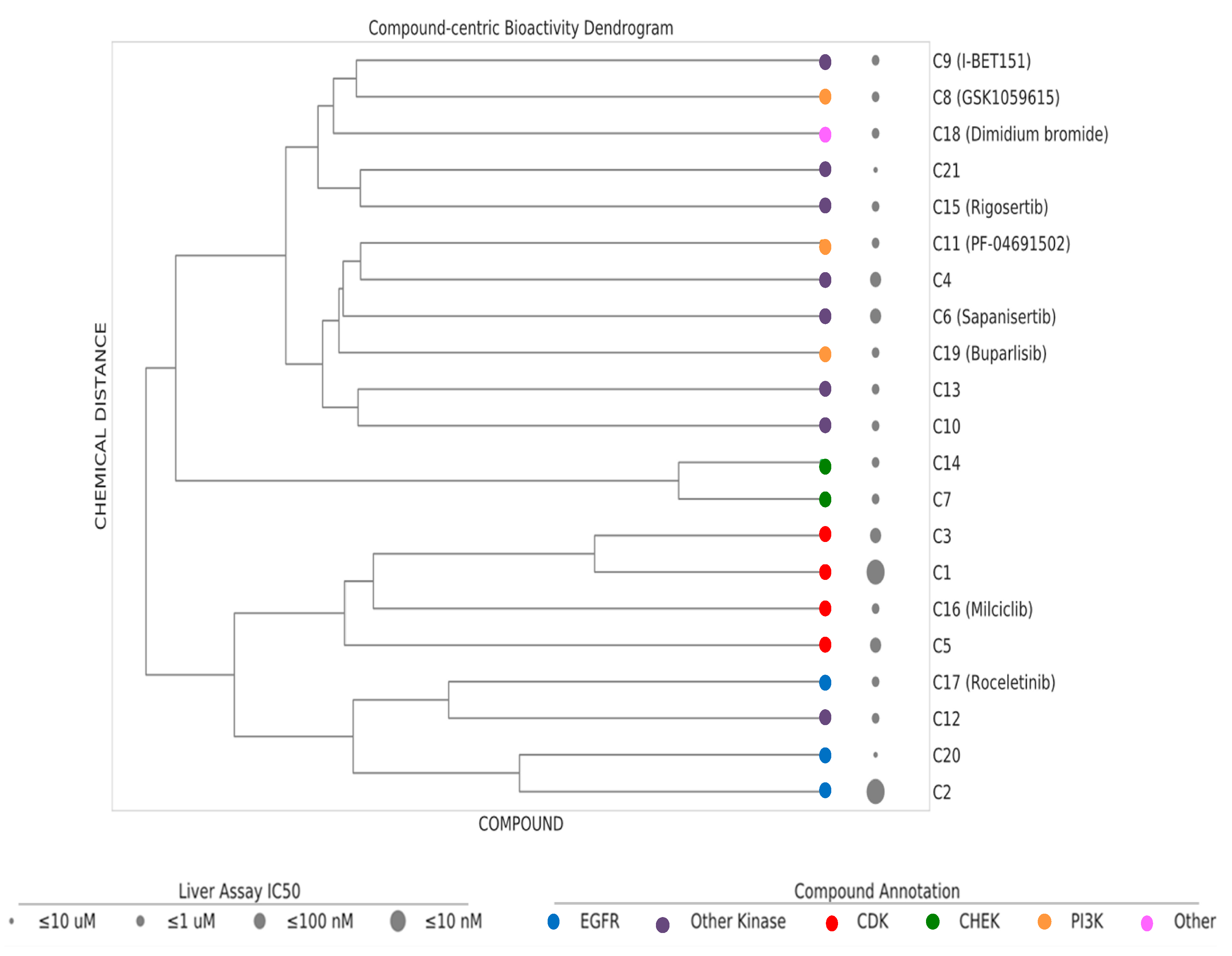 Ijms 21 09557 g005 Ijms 21 09557 g005