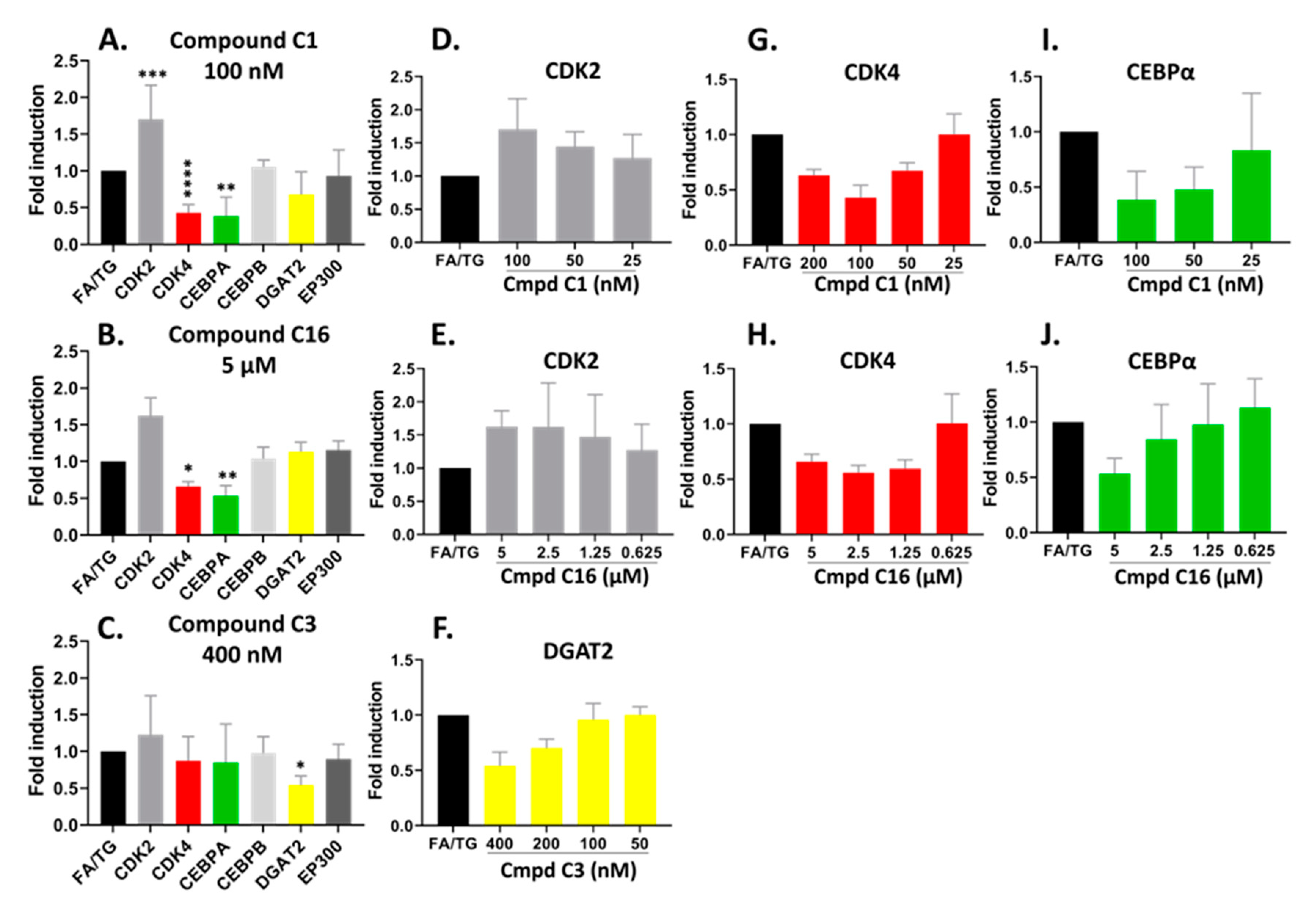 Ijms 21 09557 g007 Ijms 21 09557 g007