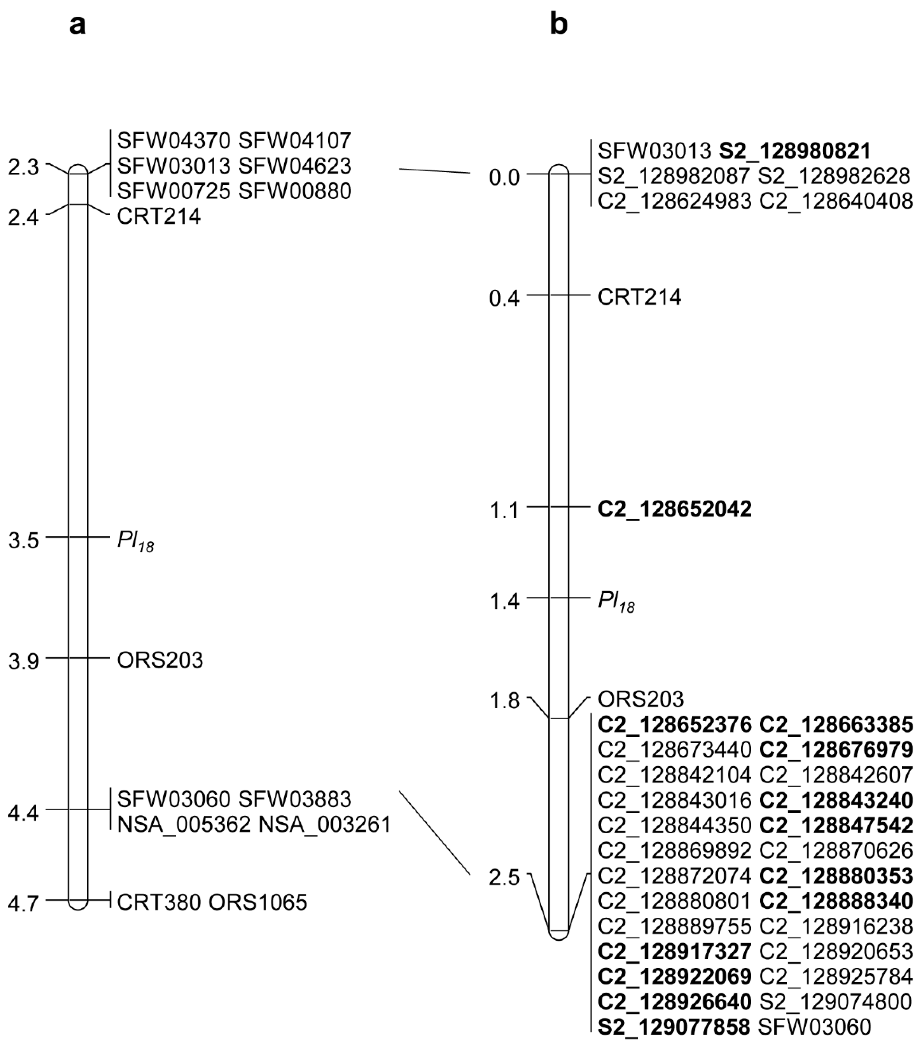 IJMS | Free Full-Text | High-Density Mapping and Candidate Gene