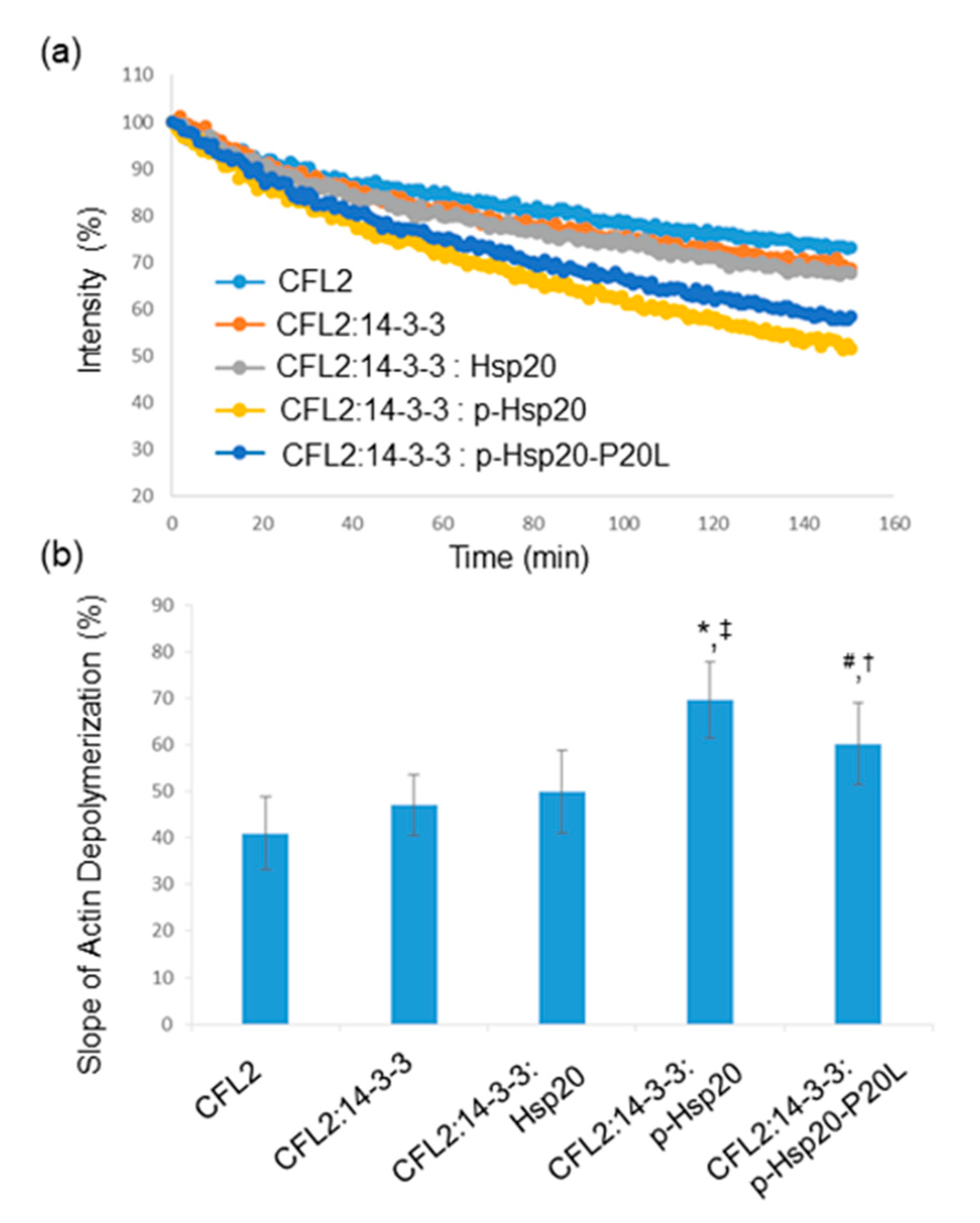 Ijms 21 09572 g007 Ijms 21 09572 g007
