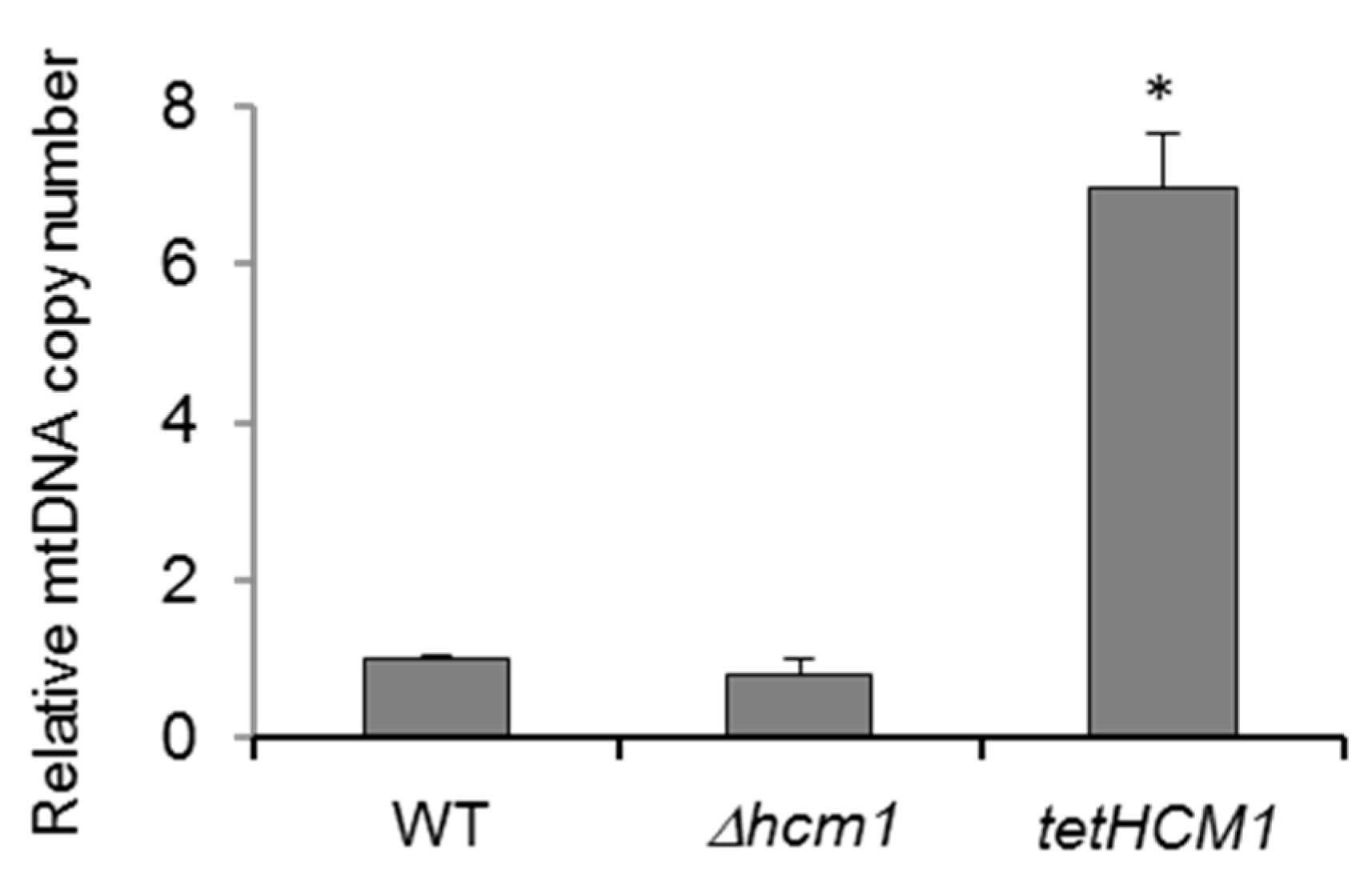 Ijms 21 09574 g004 Ijms 21 09574 g004
