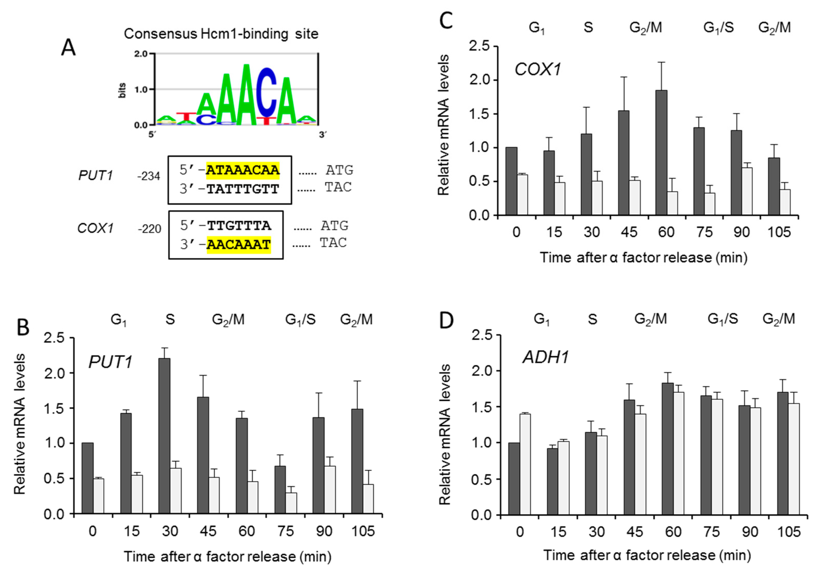 Ijms 21 09574 g005 Ijms 21 09574 g005