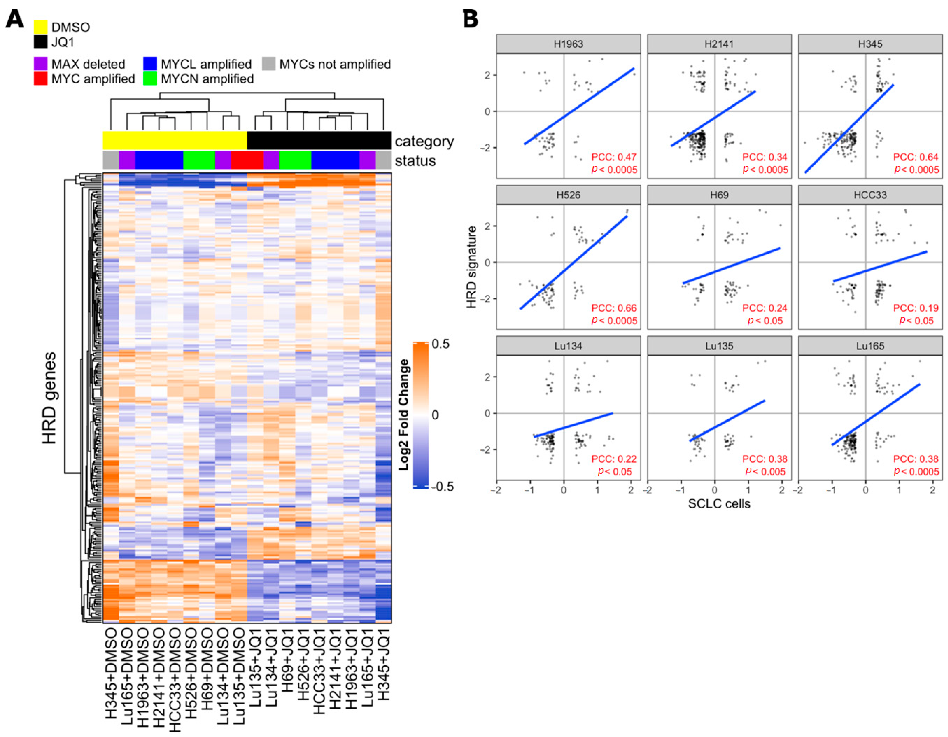 Ijms 21 09595 g004 Ijms 21 09595 g004