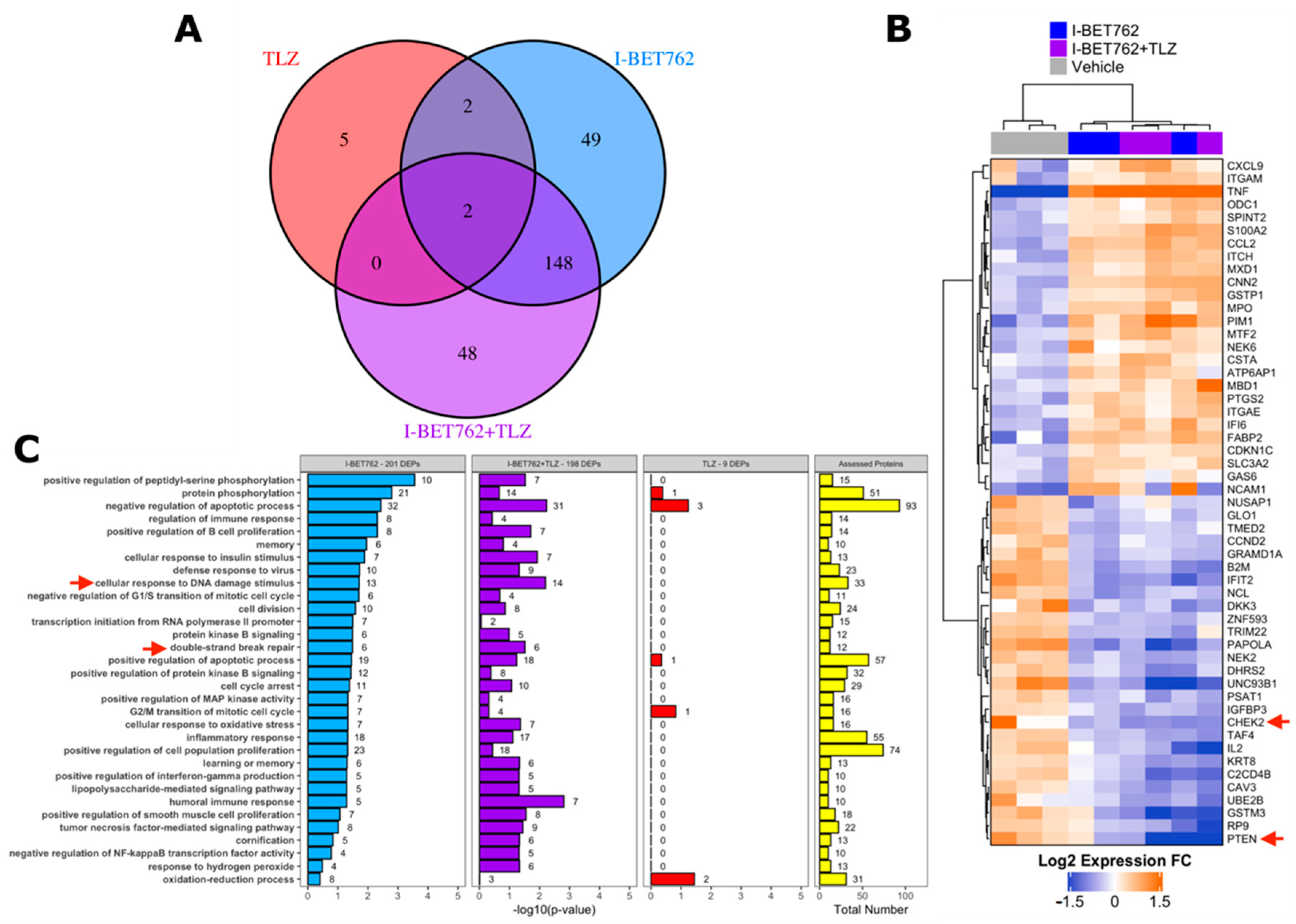 Ijms 21 09595 g005 Ijms 21 09595 g005