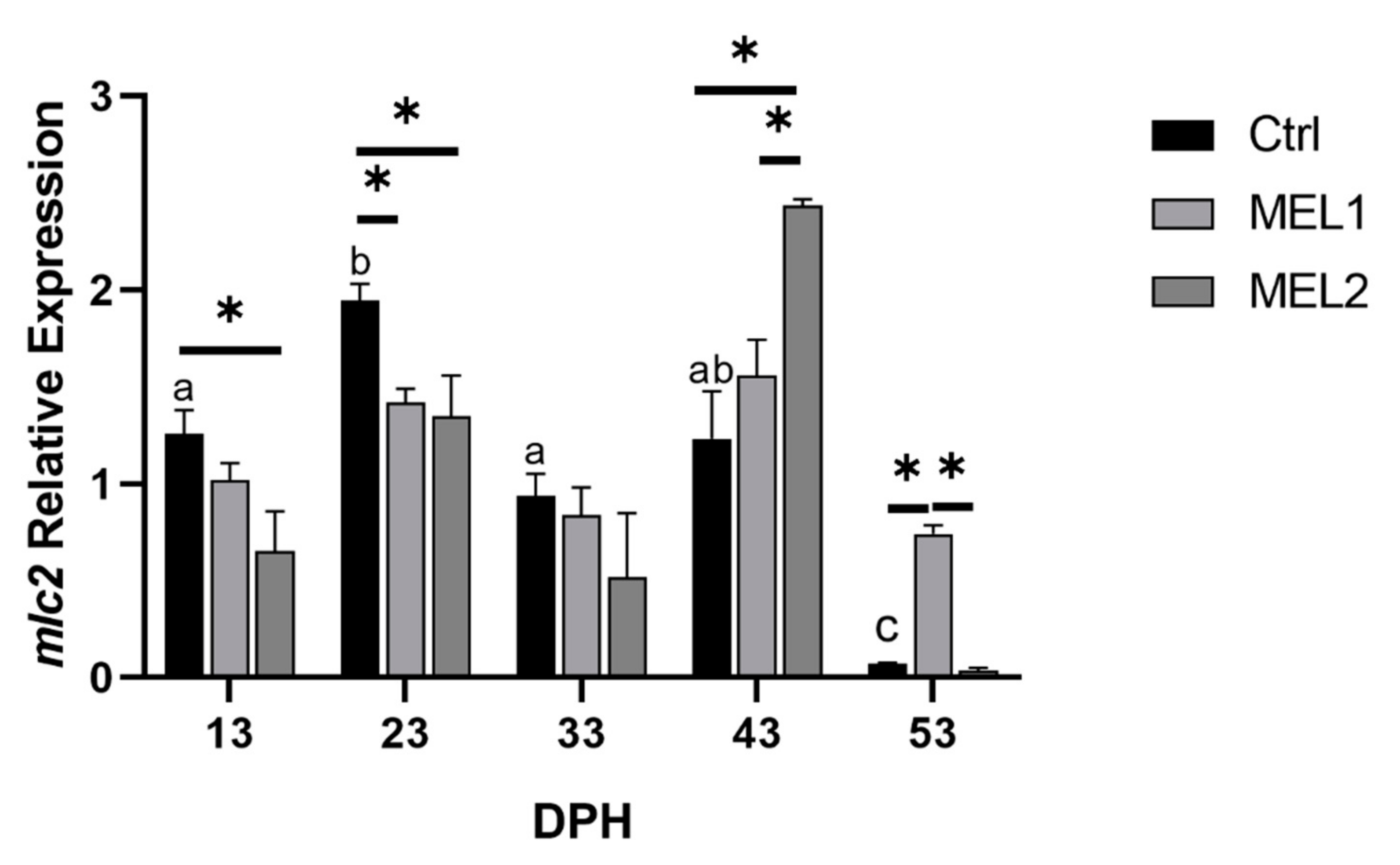 Ijms 21 09597 g011 Ijms 21 09597 g011