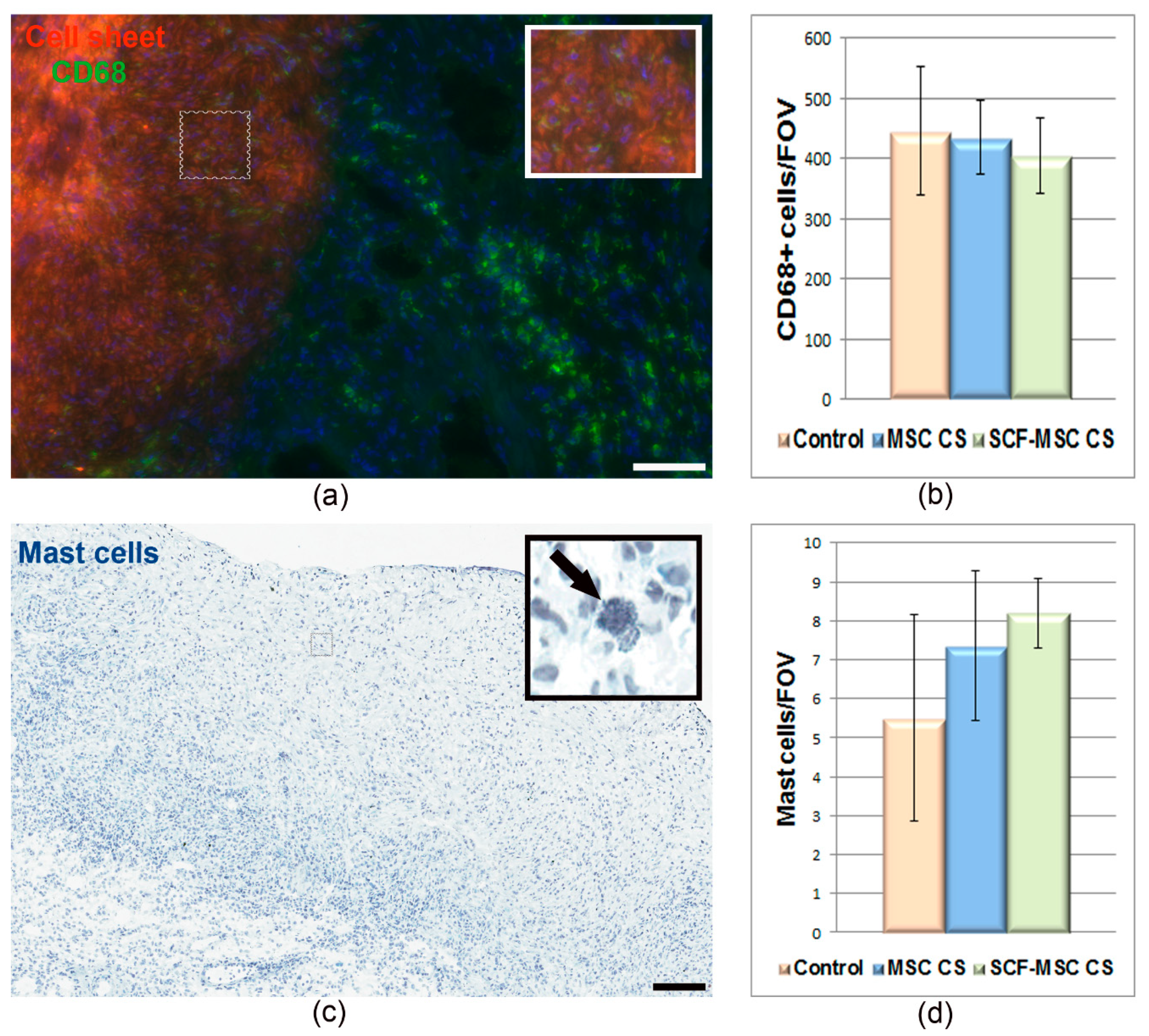 Ijms 21 09603 g004 Ijms 21 09603 g004