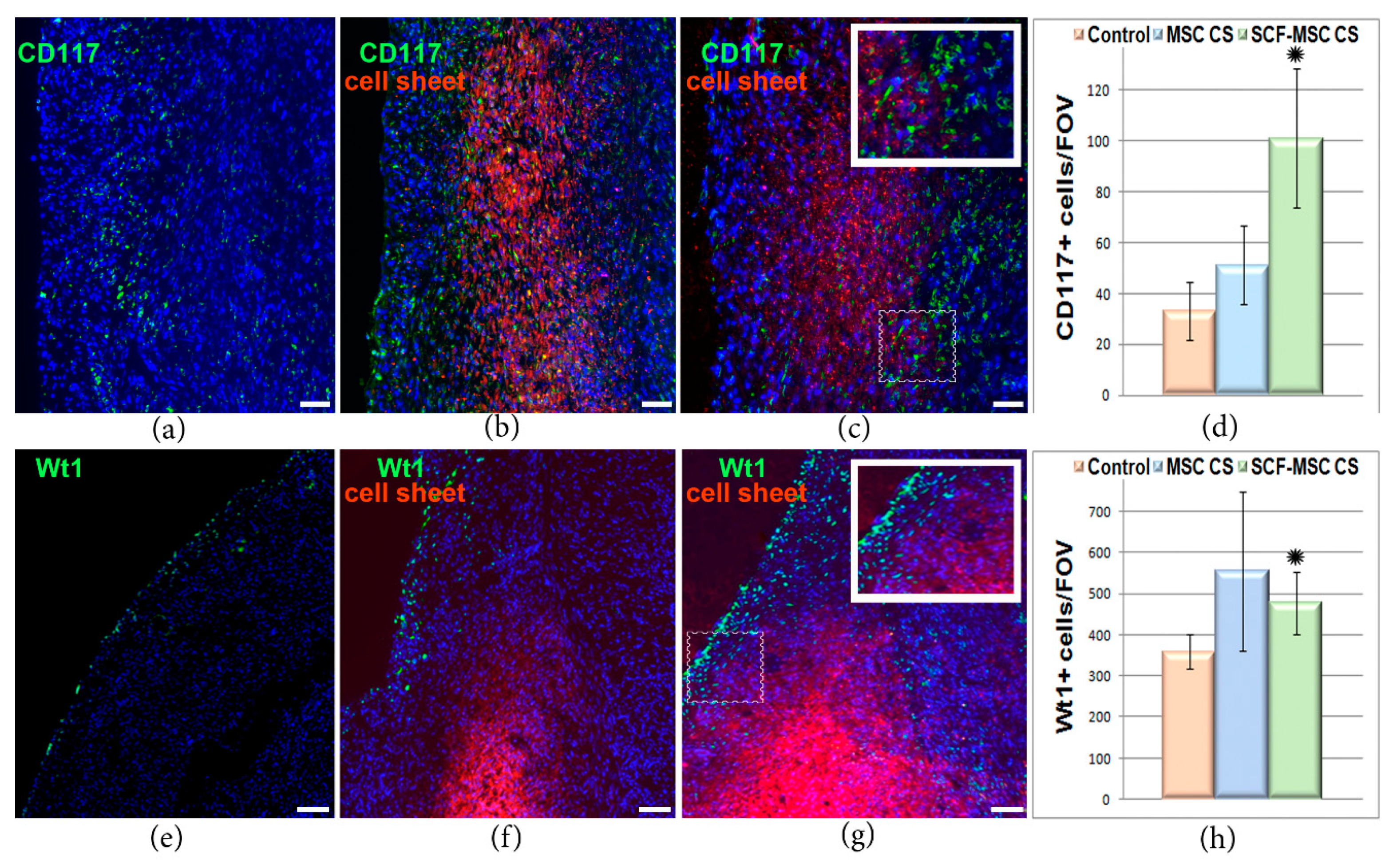 Ijms 21 09603 g005 Ijms 21 09603 g005