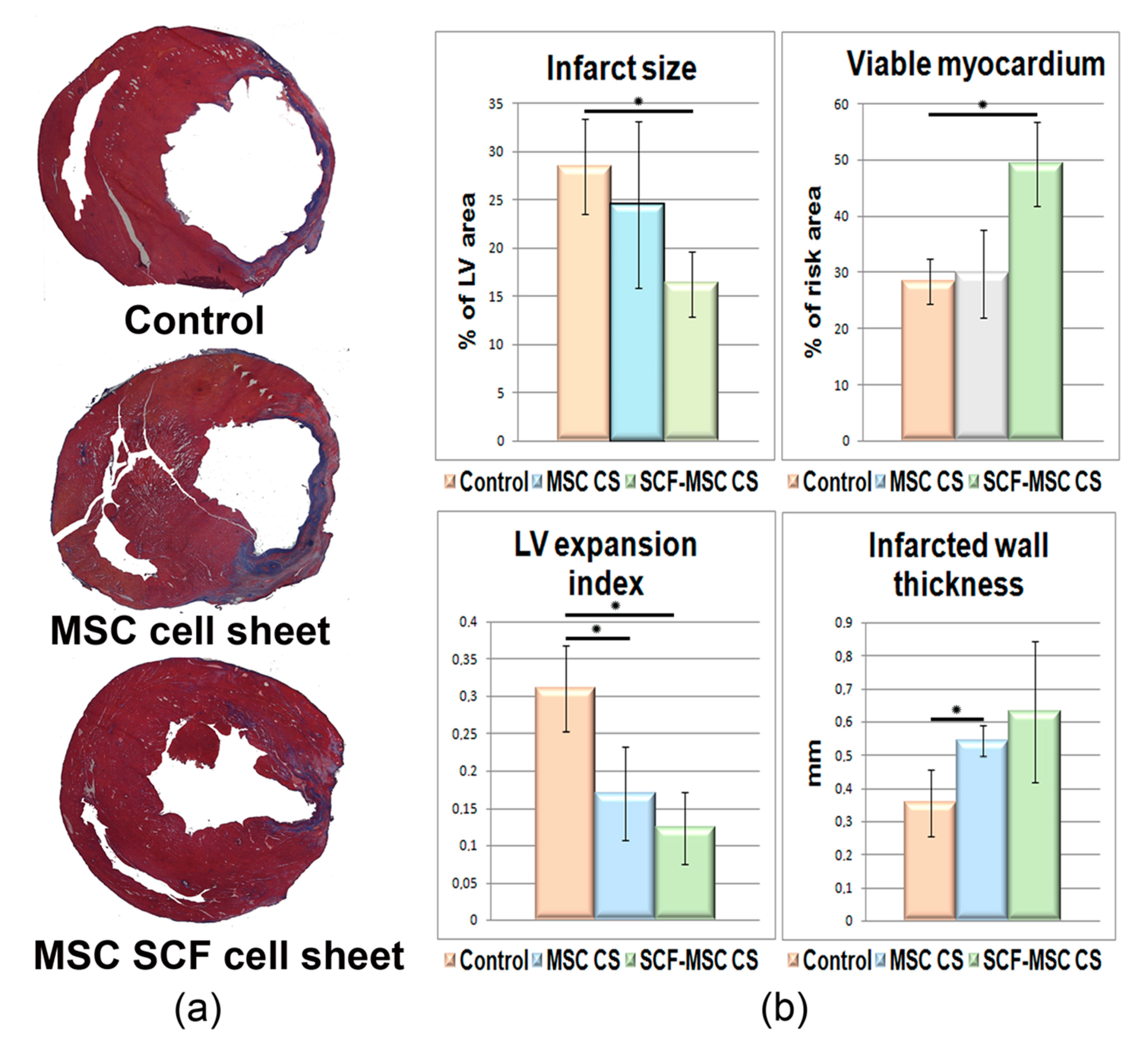 Ijms 21 09603 g007 Ijms 21 09603 g007