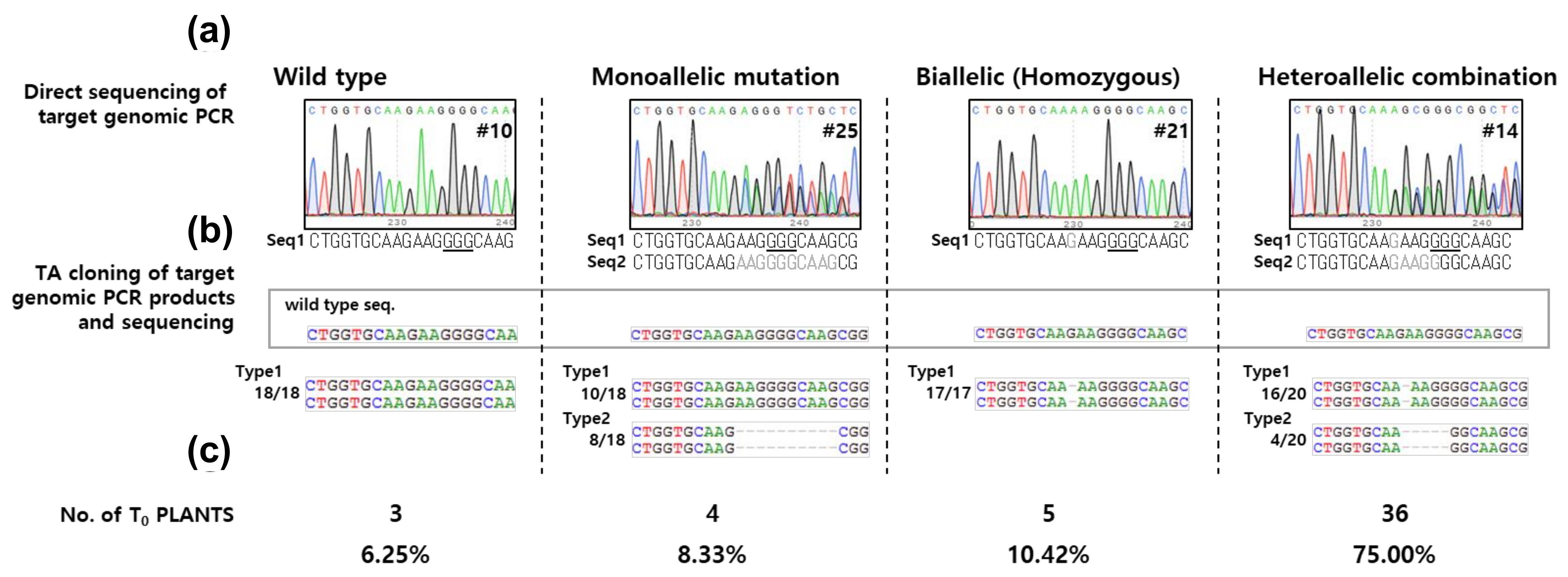 Ijms 21 09606 g002 Ijms 21 09606 g002
