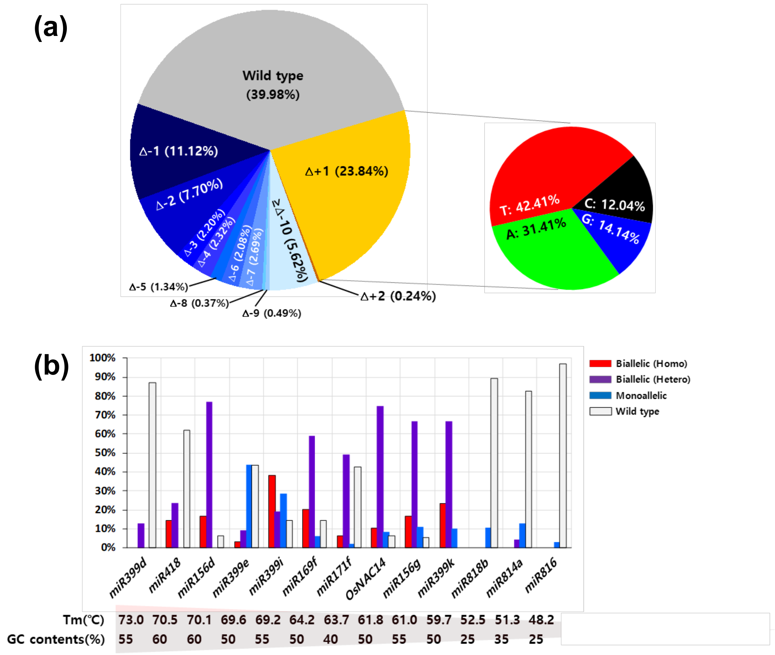 Ijms 21 09606 g003 Ijms 21 09606 g003