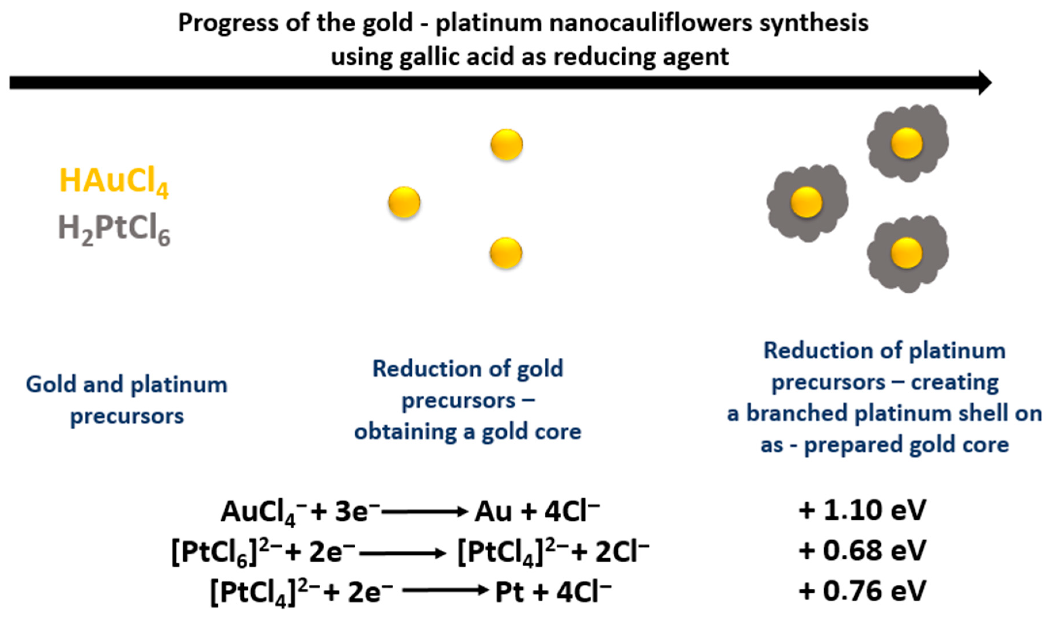 Ijms 21 09610 g002 Ijms 21 09610 g002