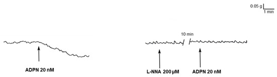 Adiponectin Exerts Peripheral Inhibitory Effects on the