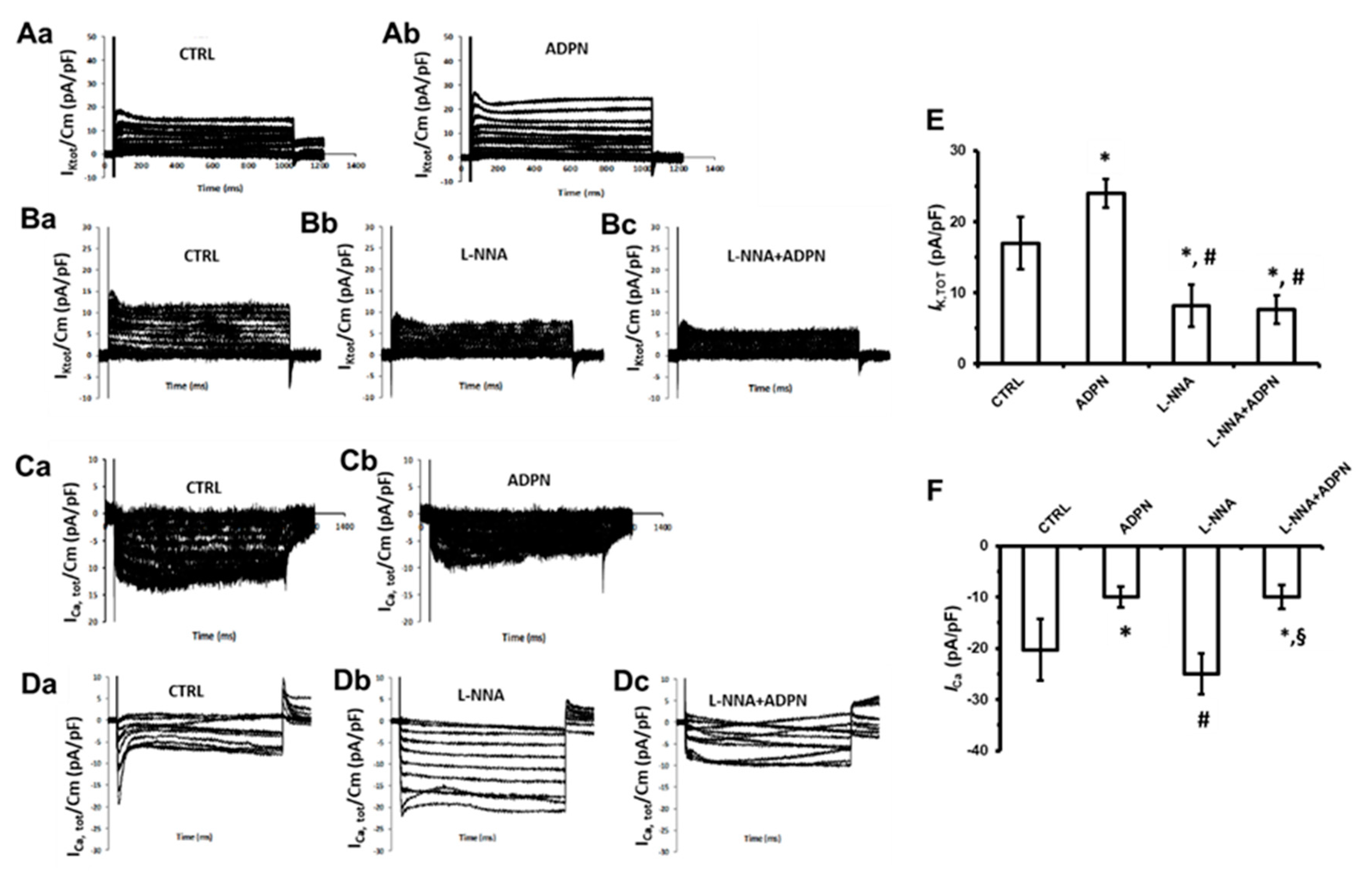 Ijms 21 09617 g005 Ijms 21 09617 g005