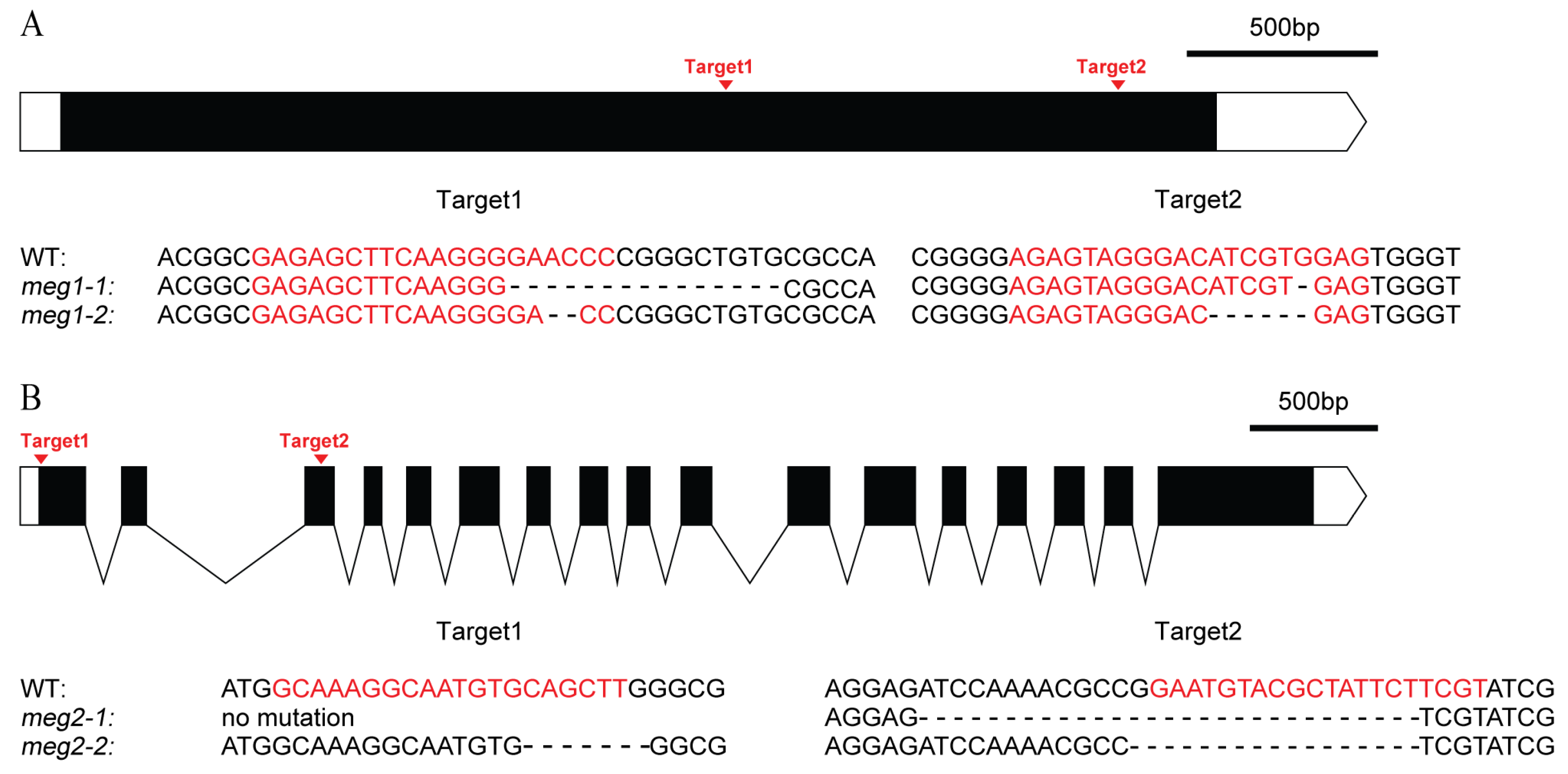 Ijms 21 09618 g004 Ijms 21 09618 g004