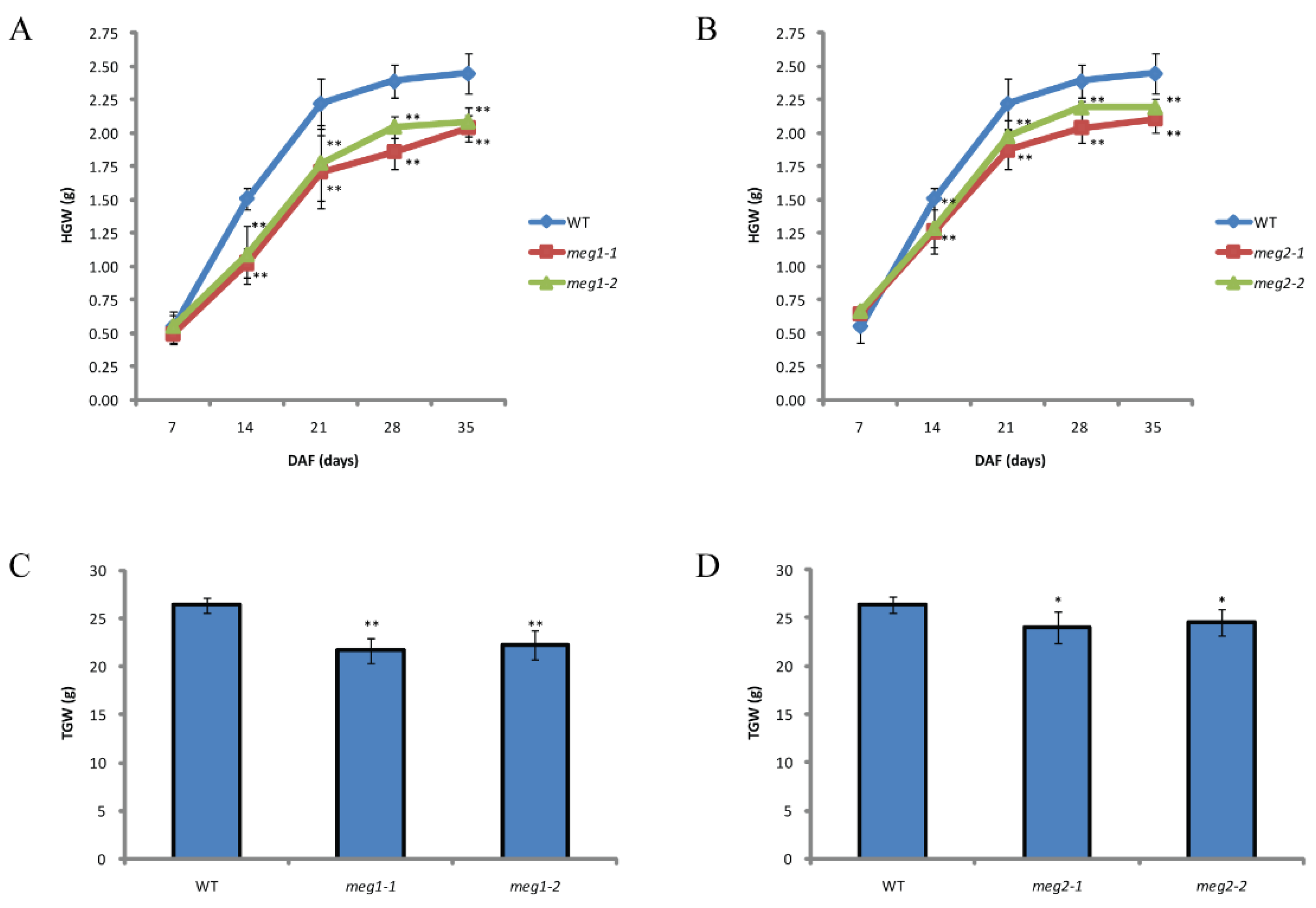 Ijms 21 09618 g005 Ijms 21 09618 g005