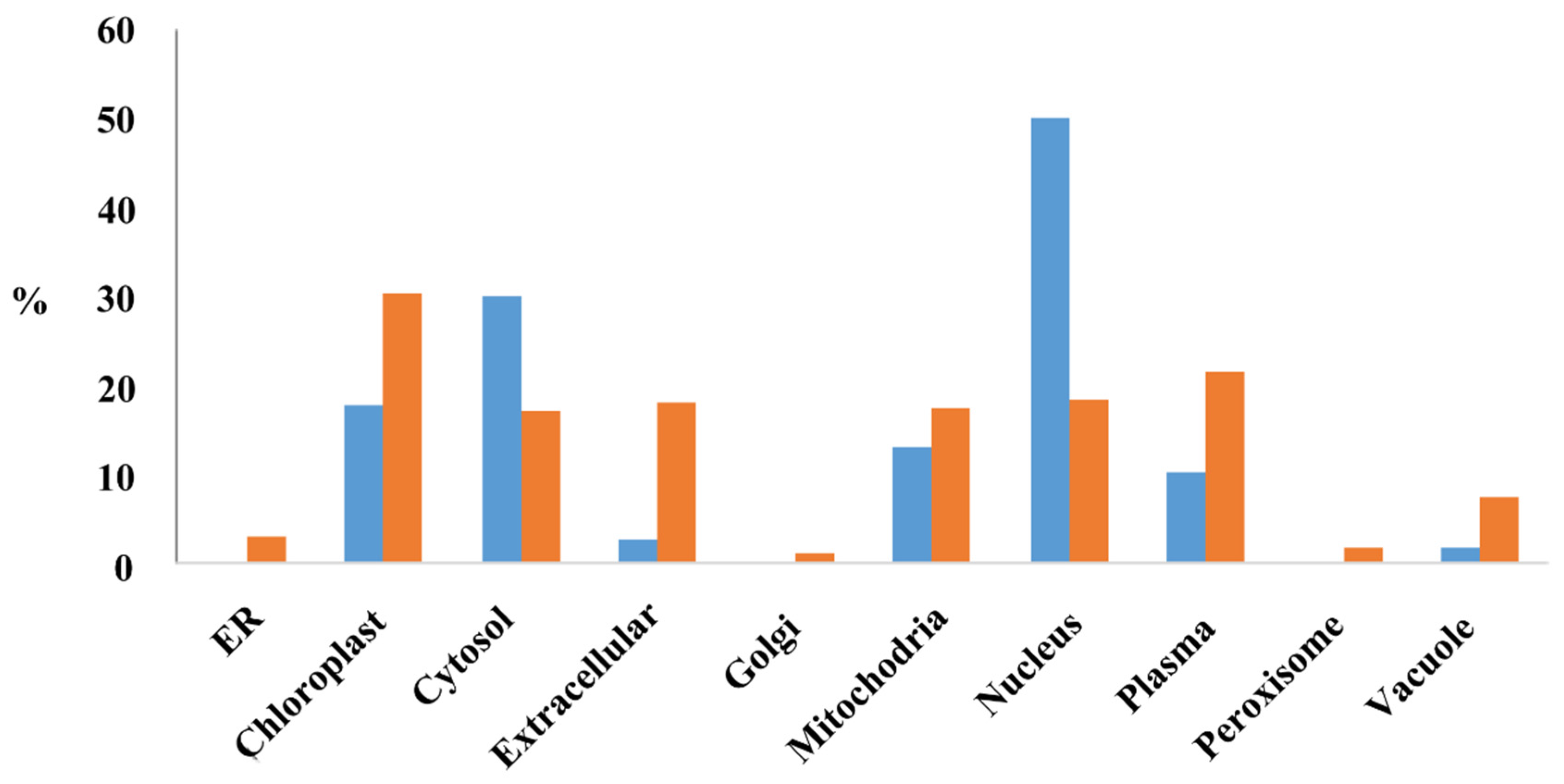 Ijms 21 09618 g006 Ijms 21 09618 g006