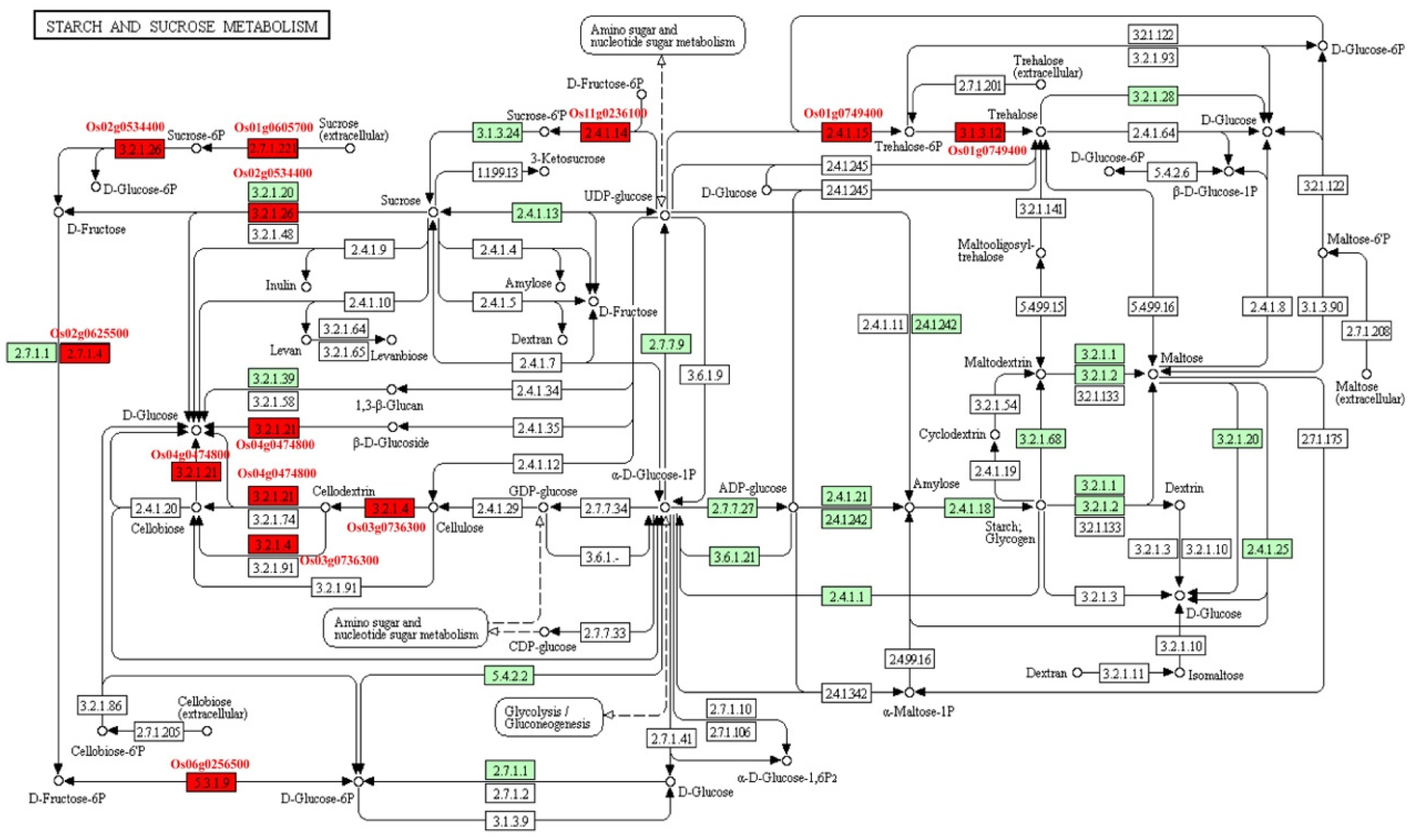 IJMS | Free Full-Text | Conserved Imprinted Genes between Intra 