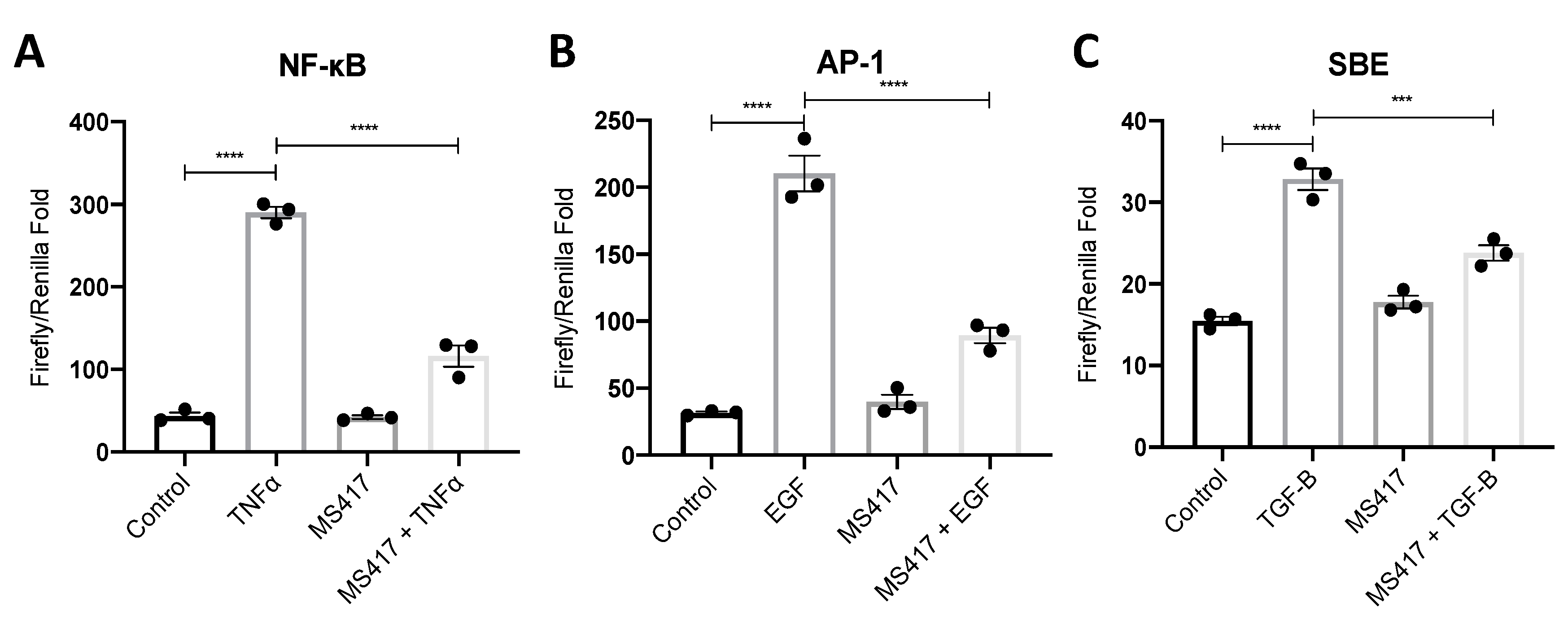 Ijms 21 09620 g002 Ijms 21 09620 g002