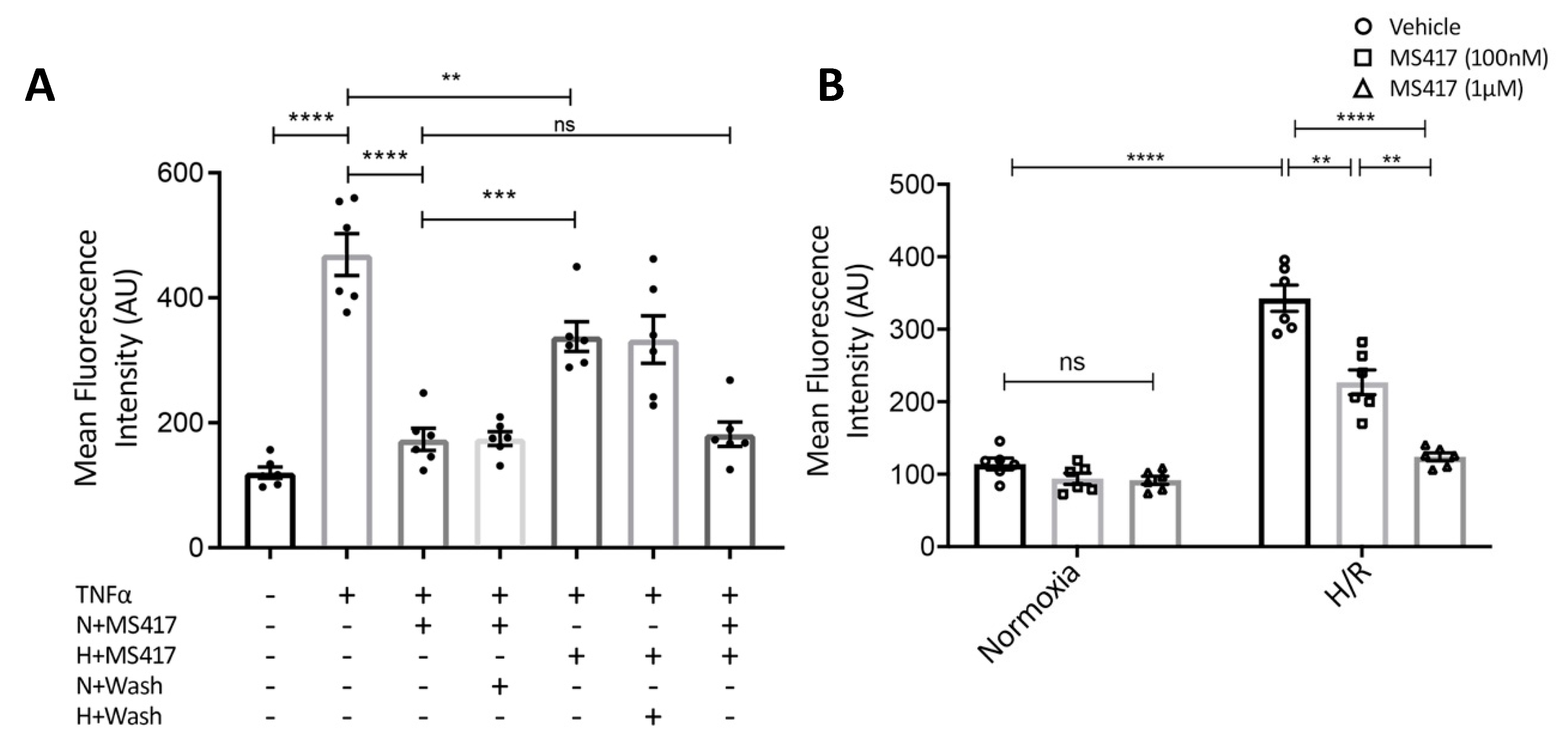 Ijms 21 09620 g004 Ijms 21 09620 g004