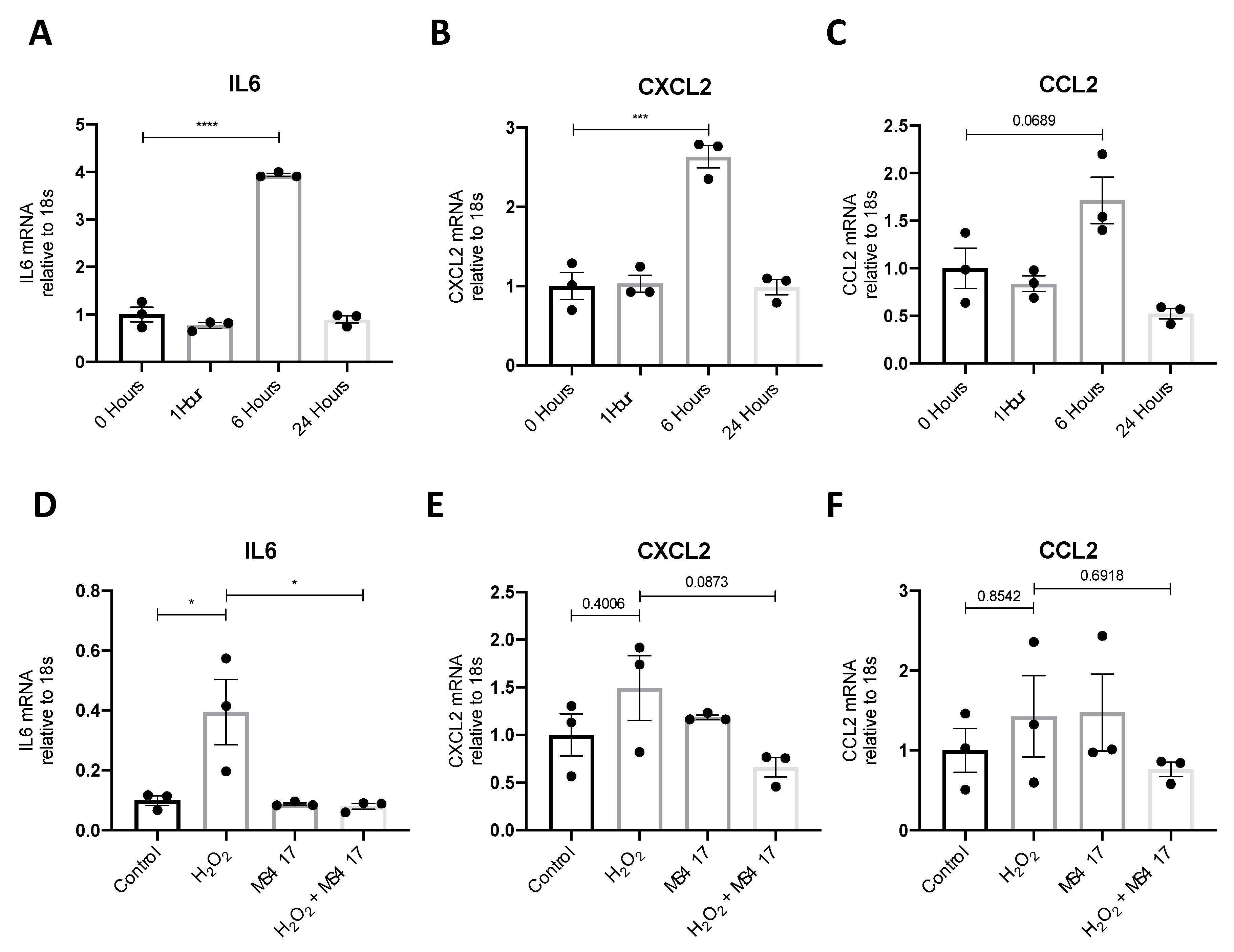 Ijms 21 09620 g005 Ijms 21 09620 g005