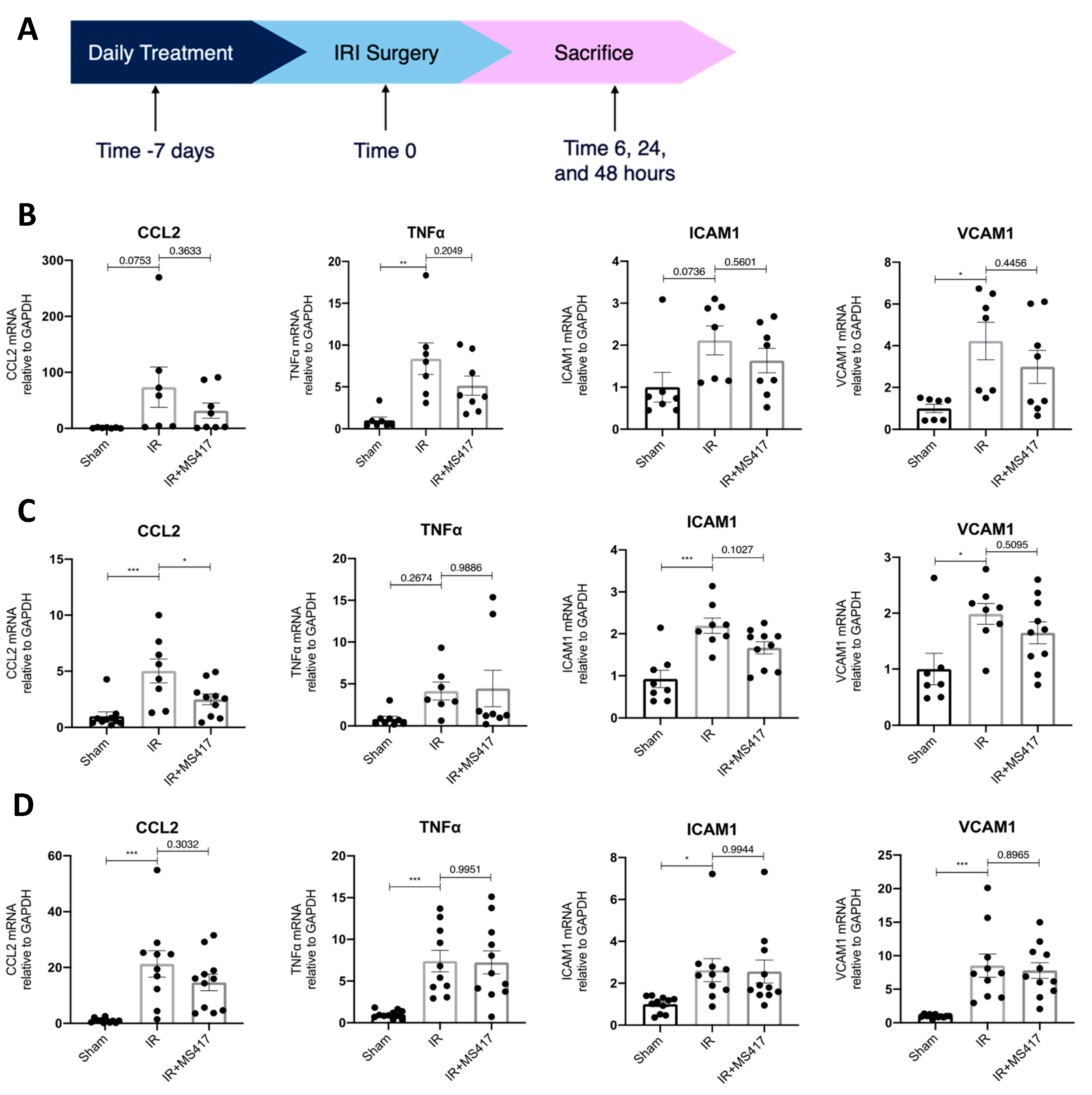 Ijms 21 09620 g006 Ijms 21 09620 g006