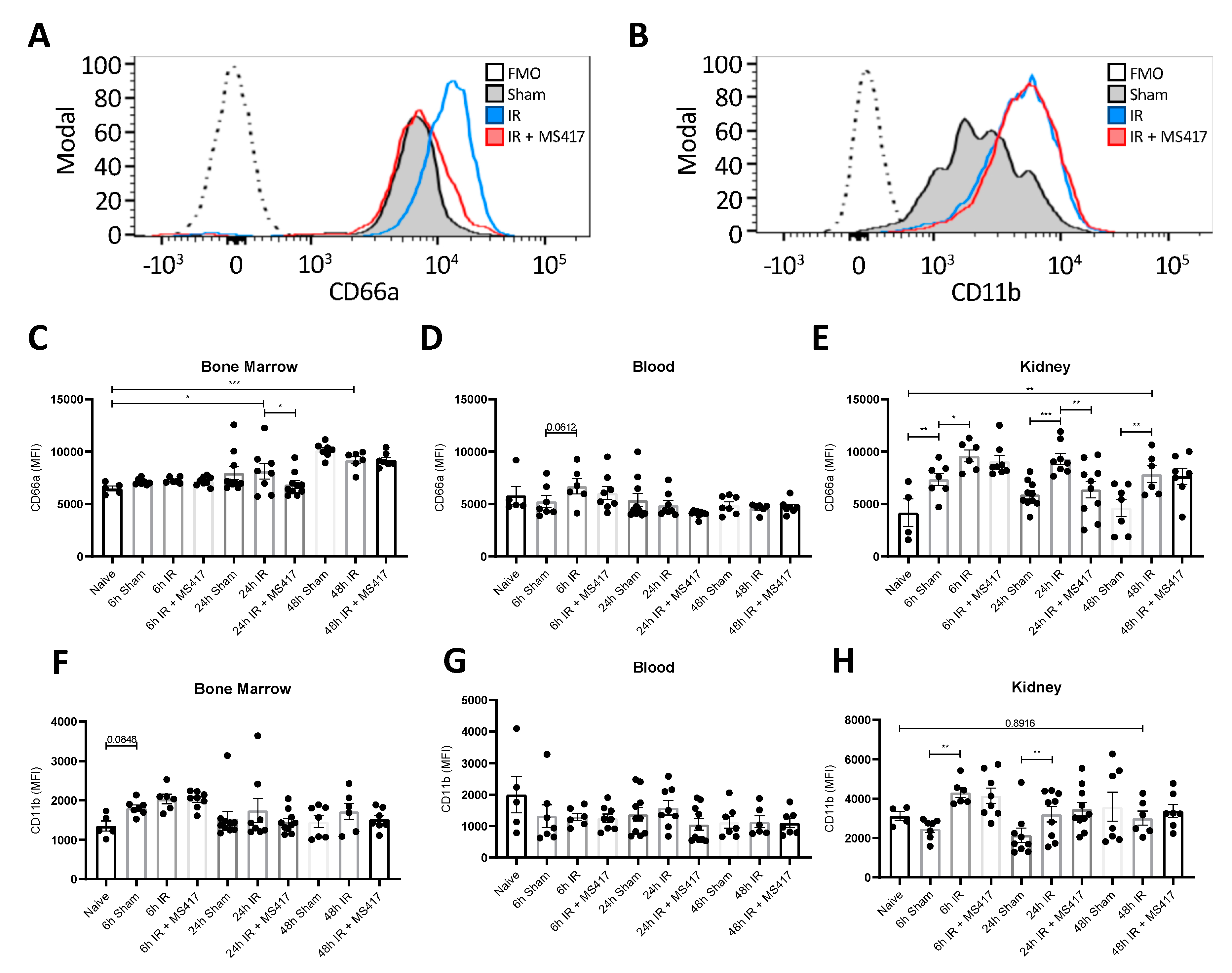Ijms 21 09620 g009 Ijms 21 09620 g009