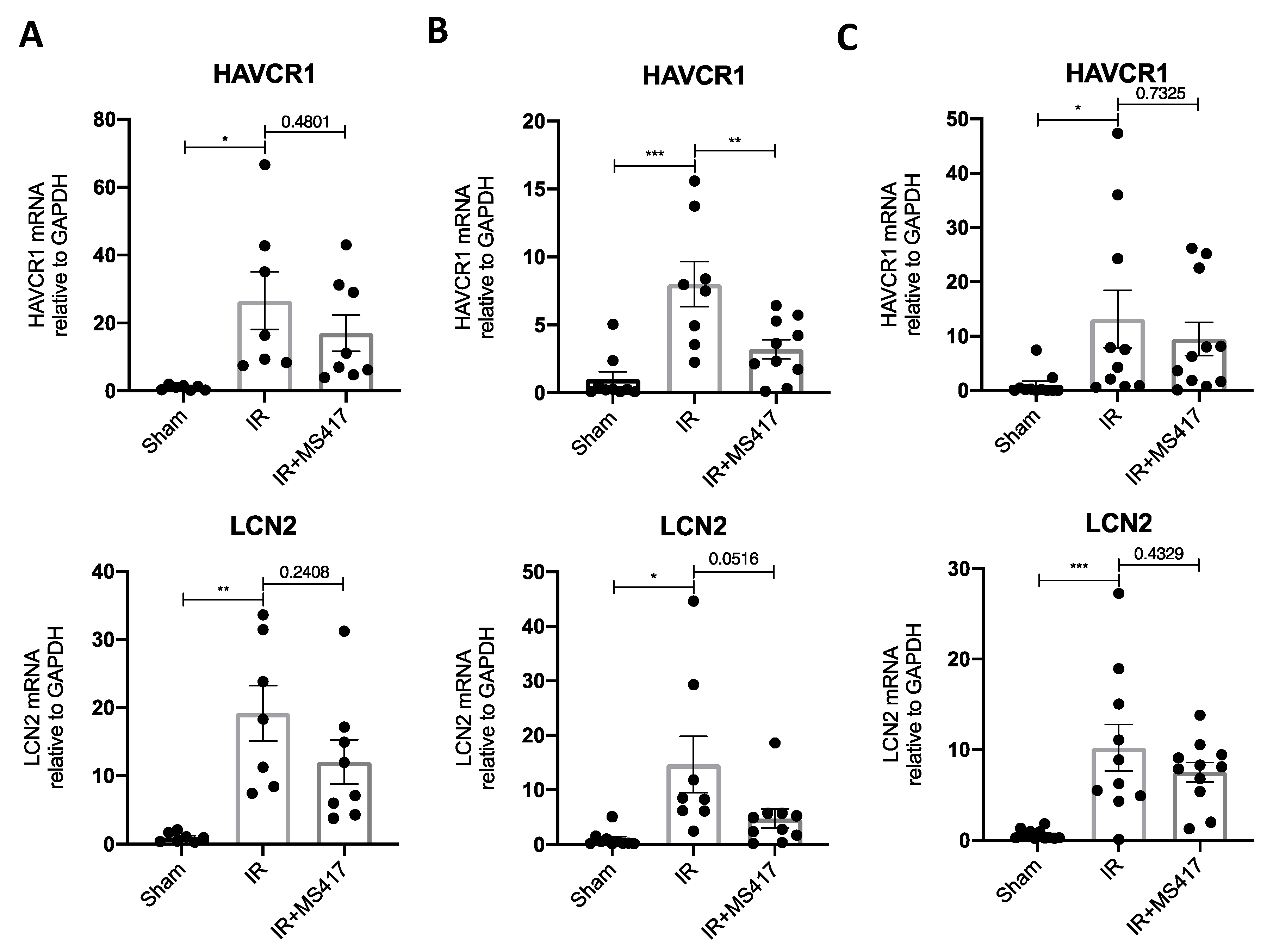 Ijms 21 09620 g011 Ijms 21 09620 g011