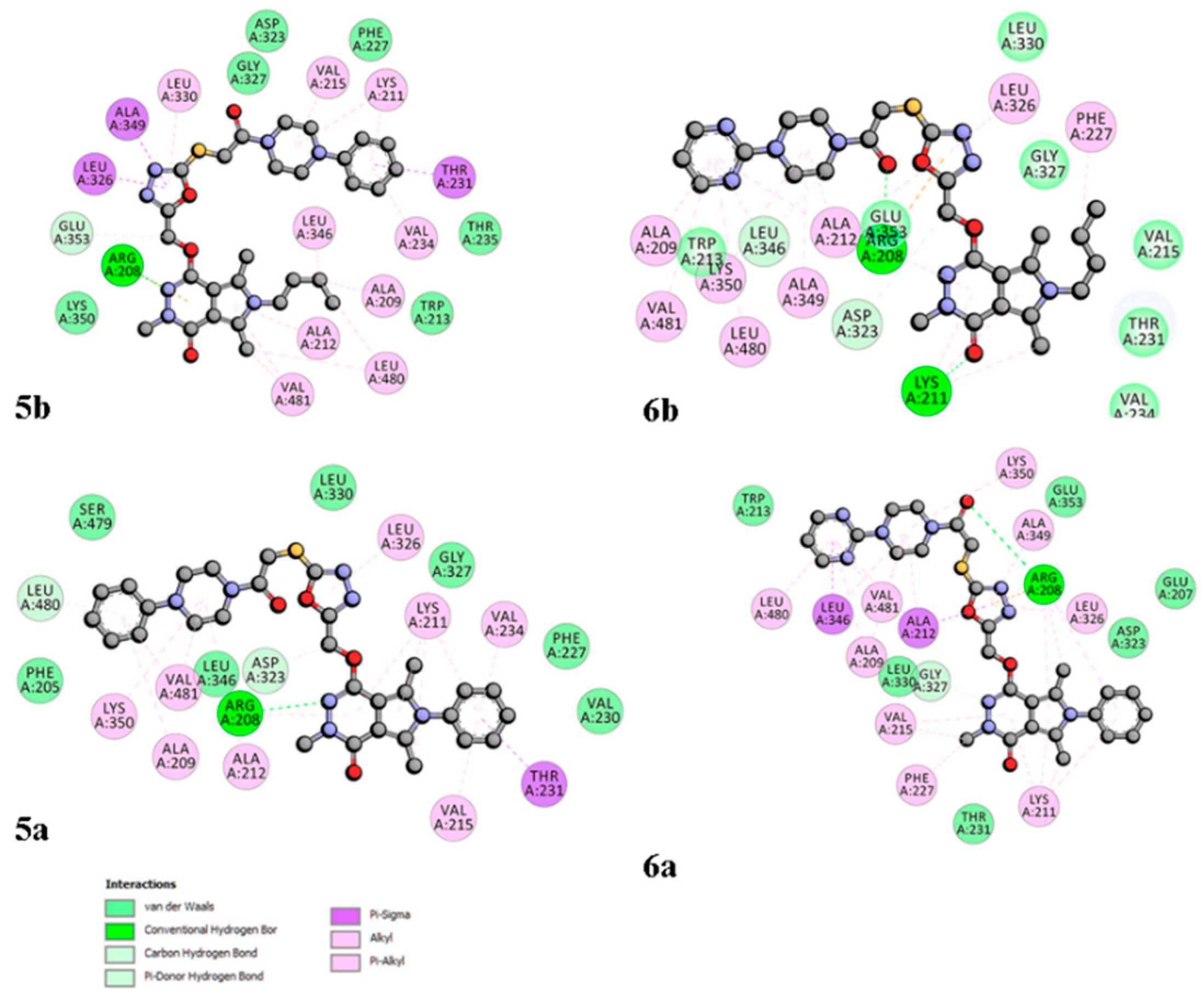 Ijms 21 09623 g008 Ijms 21 09623 g008