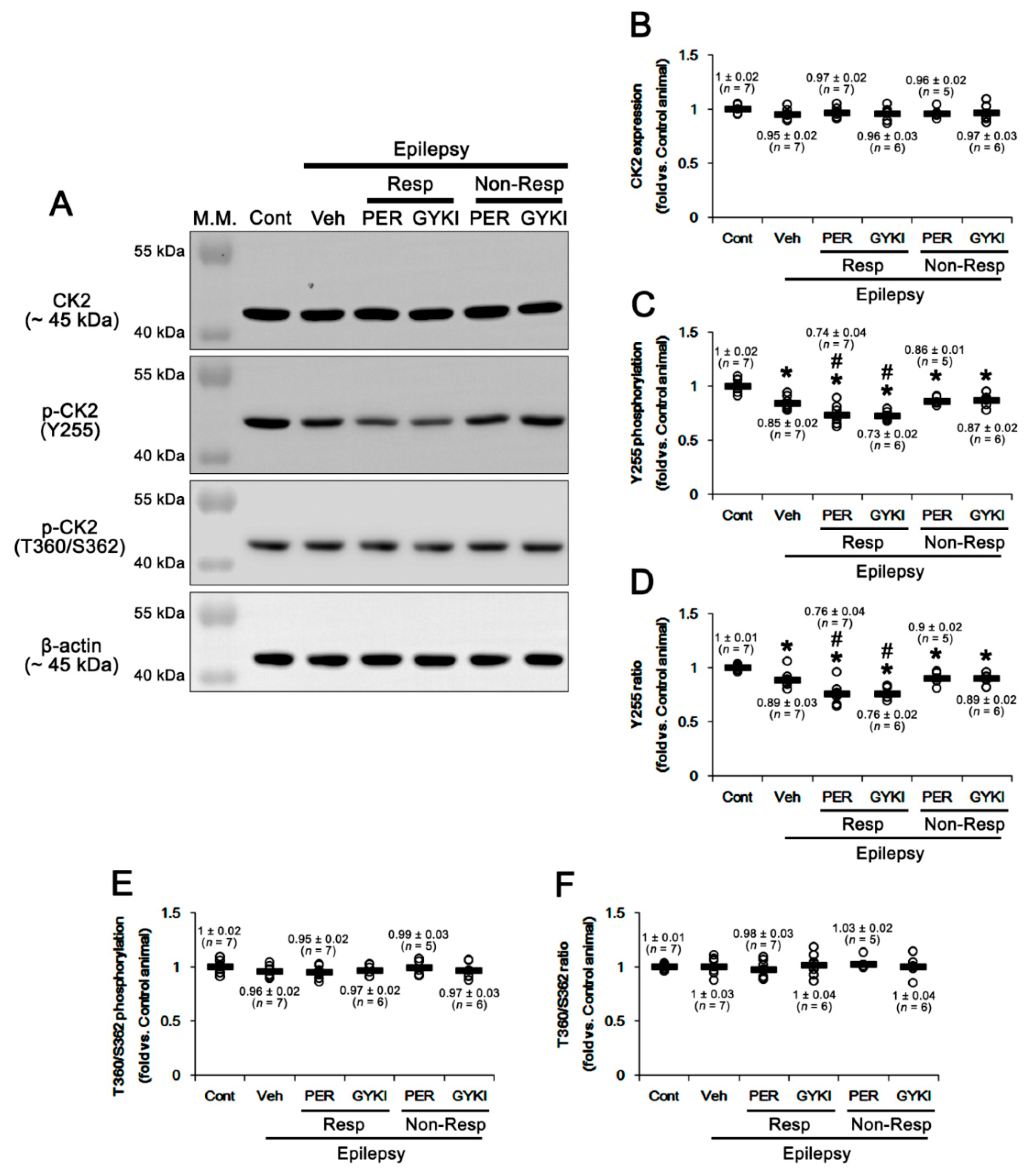 Ijms 21 09633 g004 Ijms 21 09633 g004