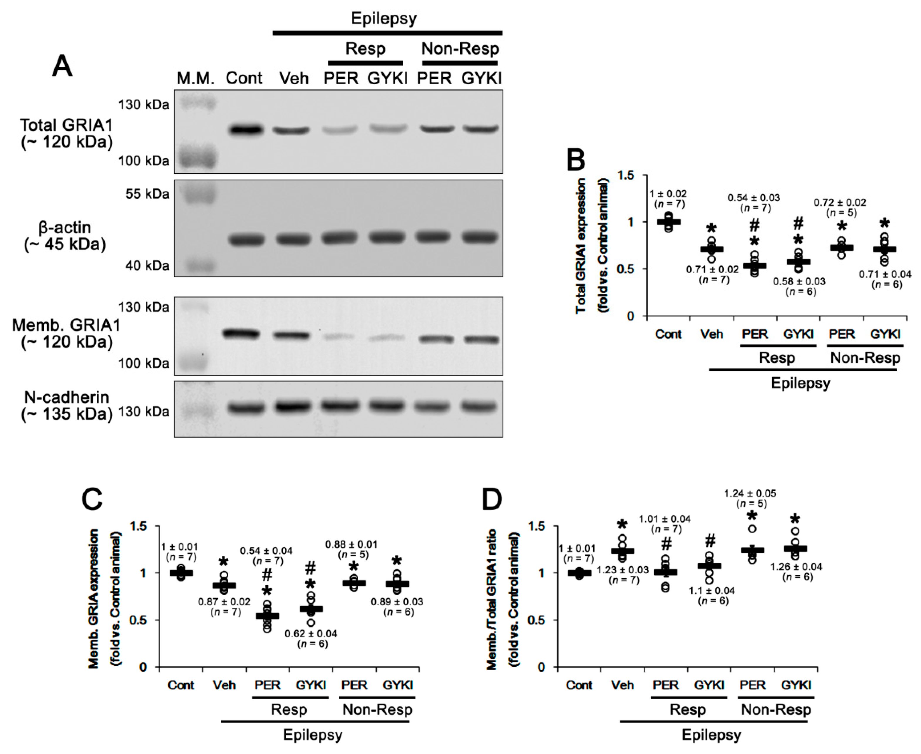 Ijms 21 09633 g007 Ijms 21 09633 g007