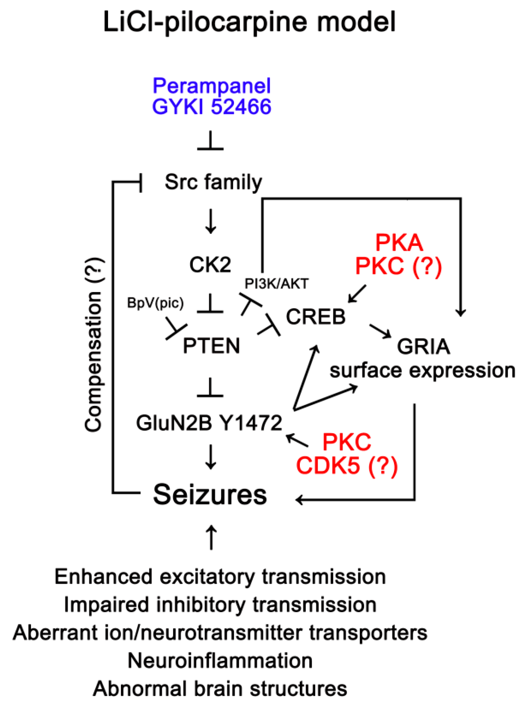 Ijms 21 09633 g008 Ijms 21 09633 g008