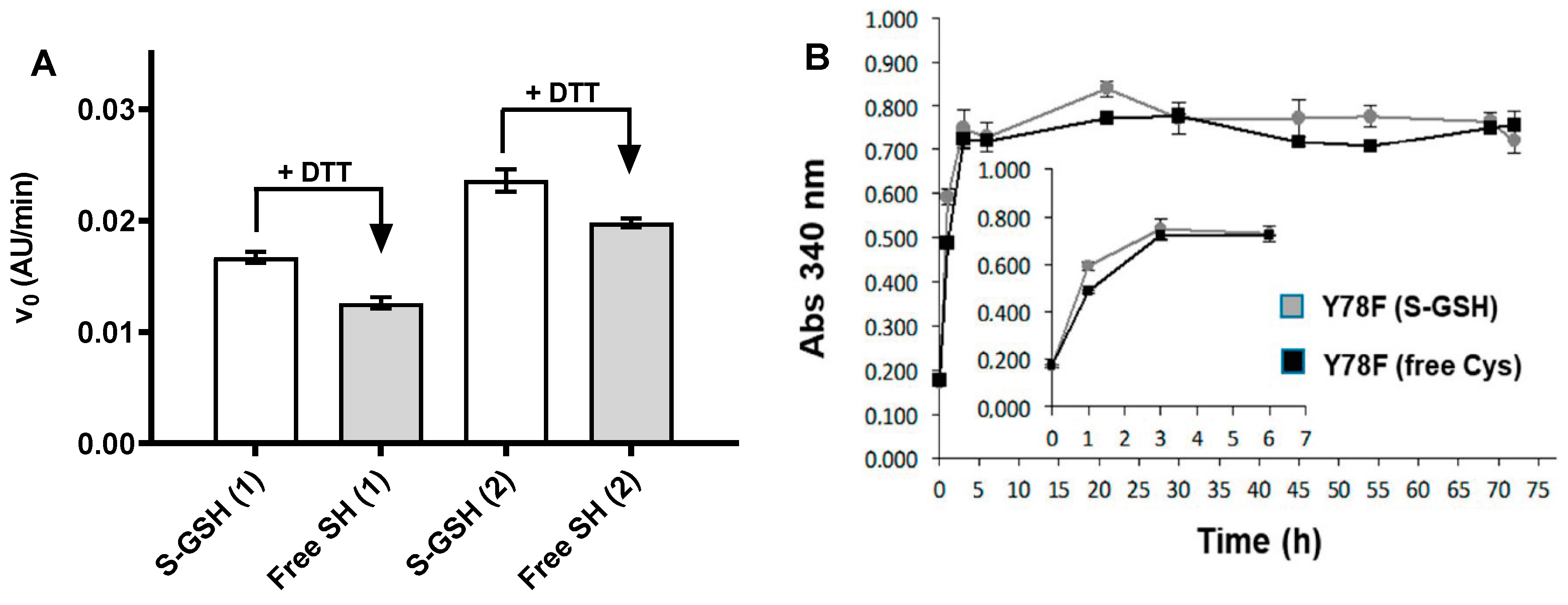 Ijms 21 09640 g002 Ijms 21 09640 g002