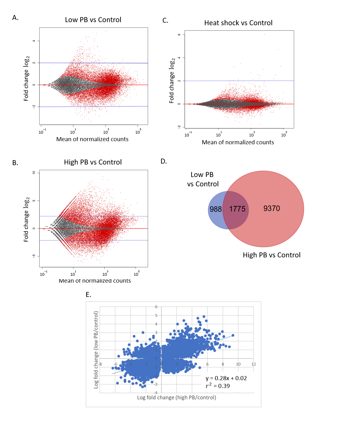 Ijms 21 09641 g005 Ijms 21 09641 g005
