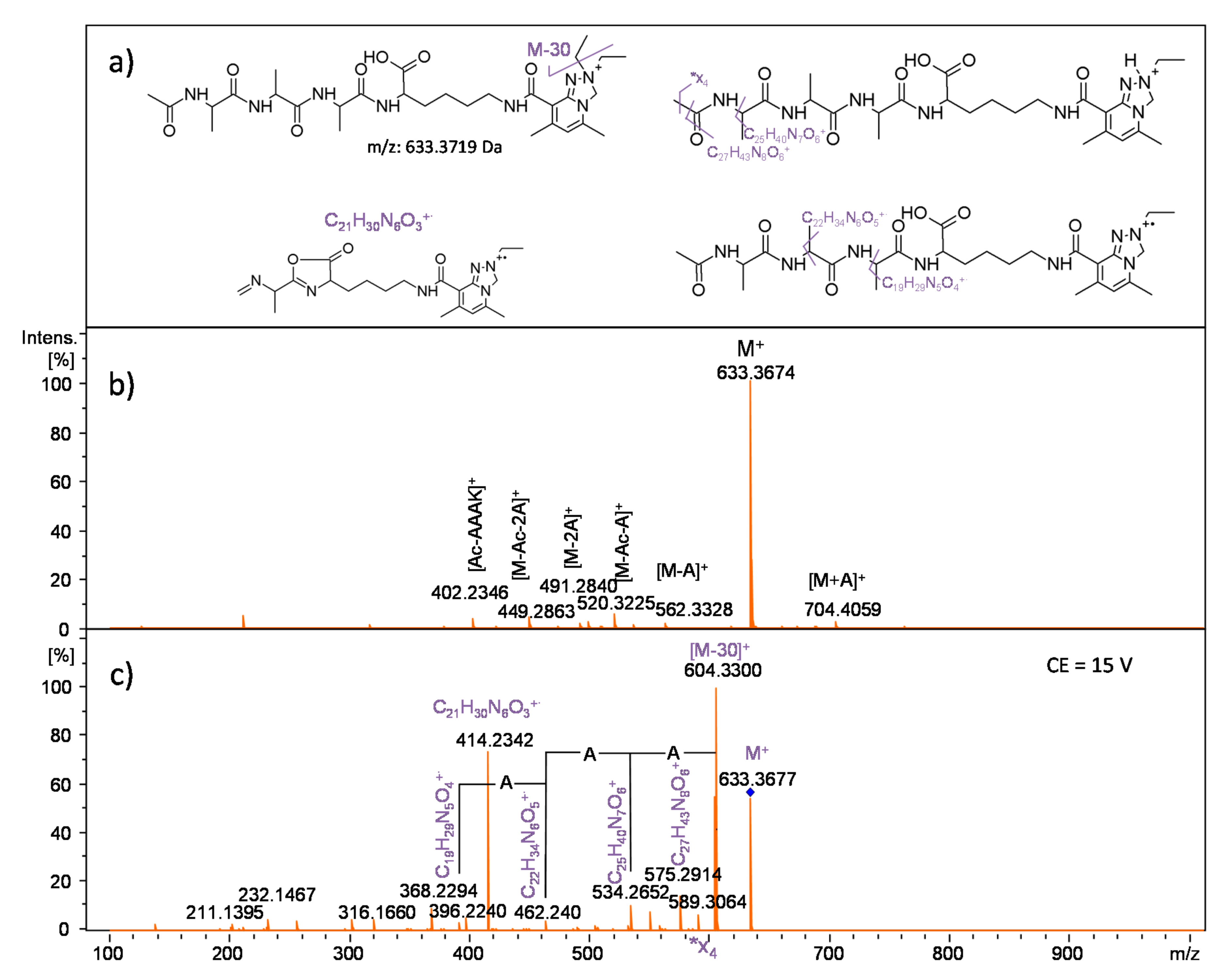 Ijms 21 09643 g011 Ijms 21 09643 g011