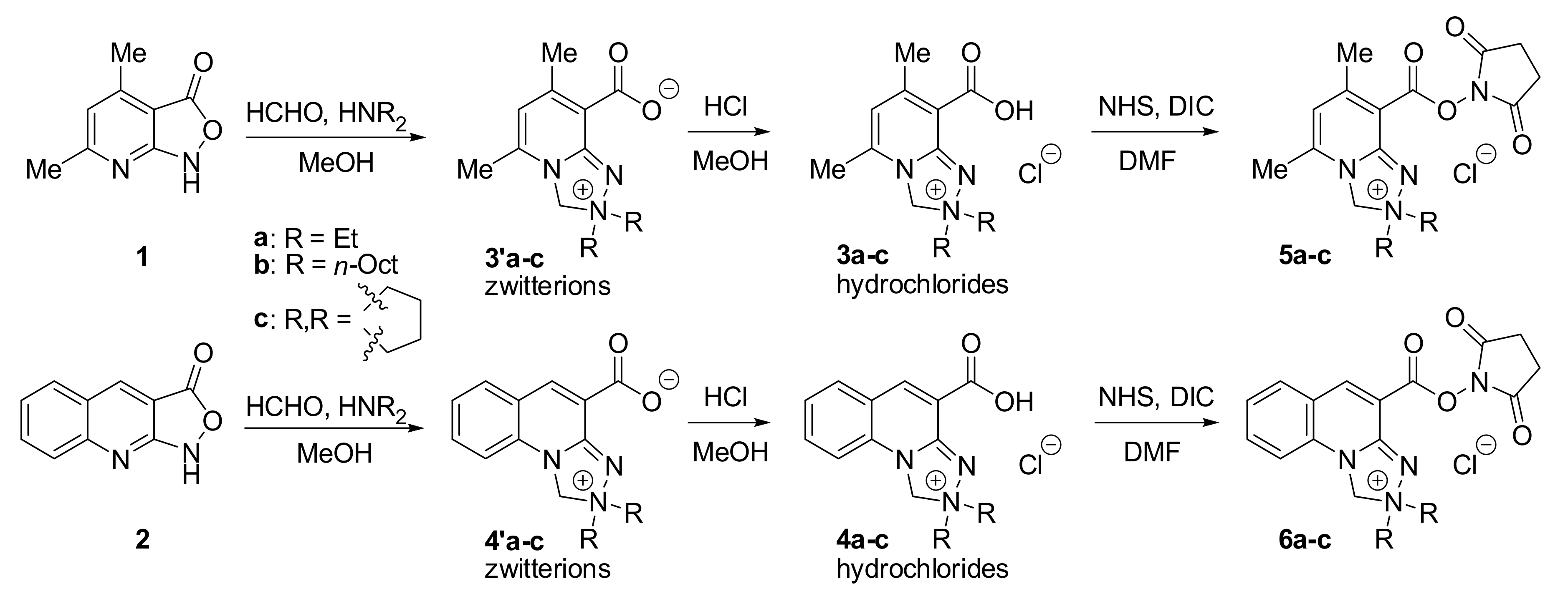 Ijms 21 09643 sch001 Ijms 21 09643 sch001