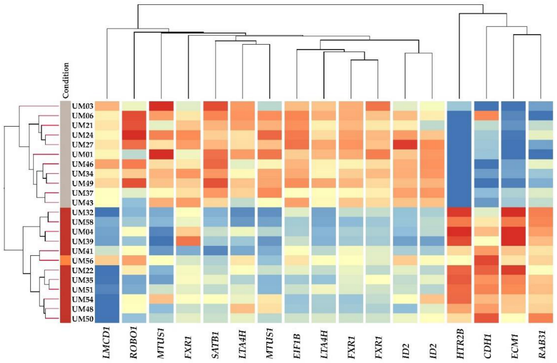 Ijms 21 09651 g002 Ijms 21 09651 g002