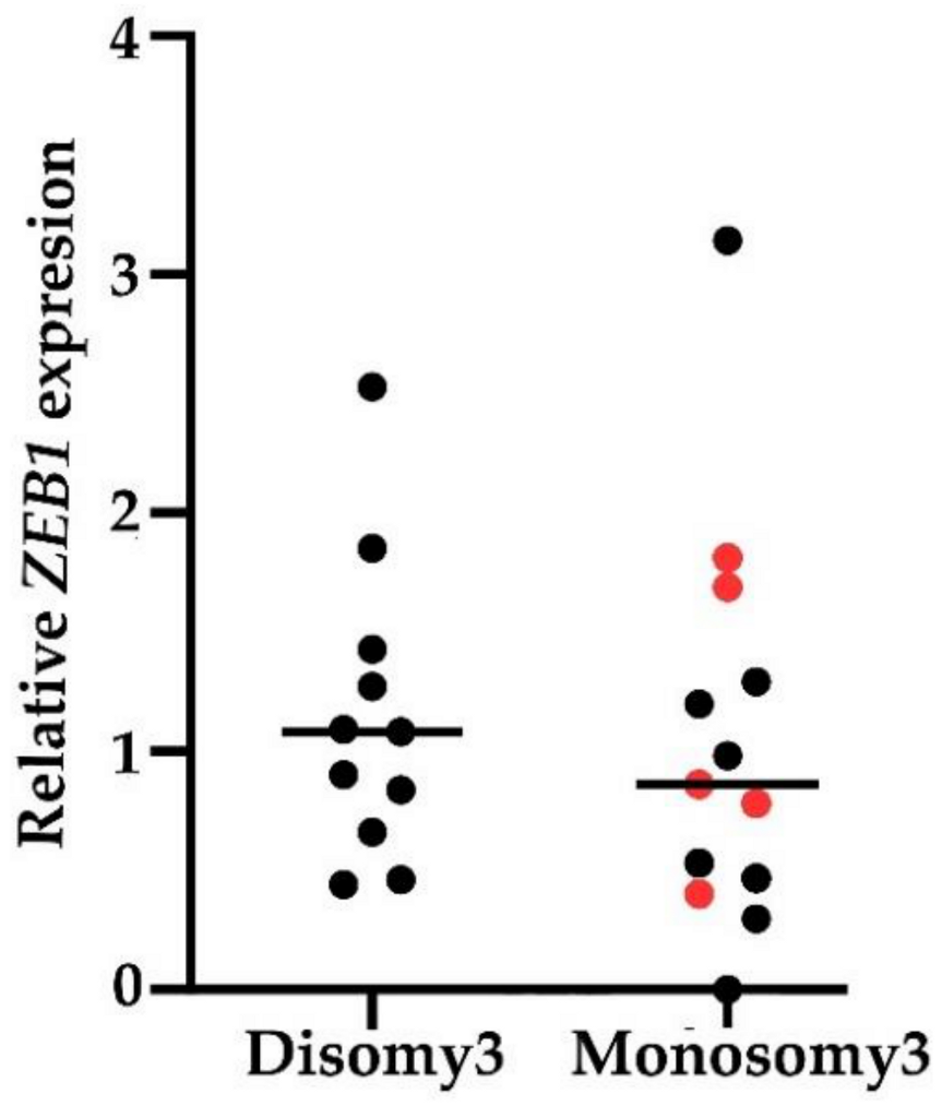 Ijms 21 09651 g003 Ijms 21 09651 g003