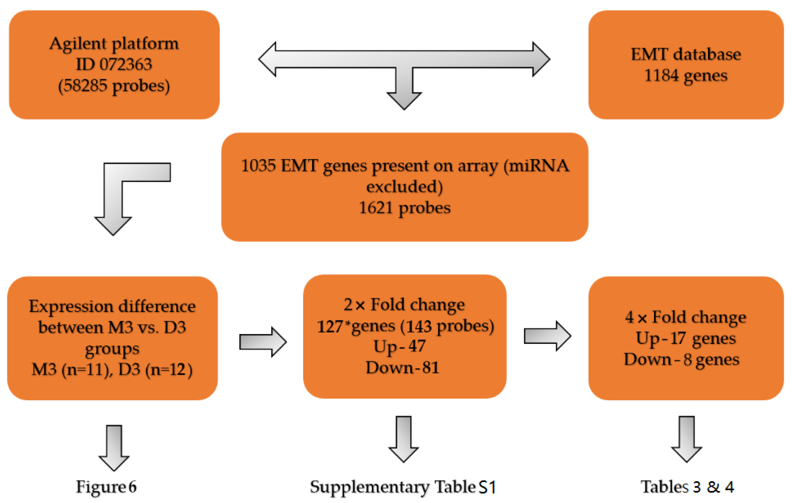 Ijms 21 09651 g005 Ijms 21 09651 g005