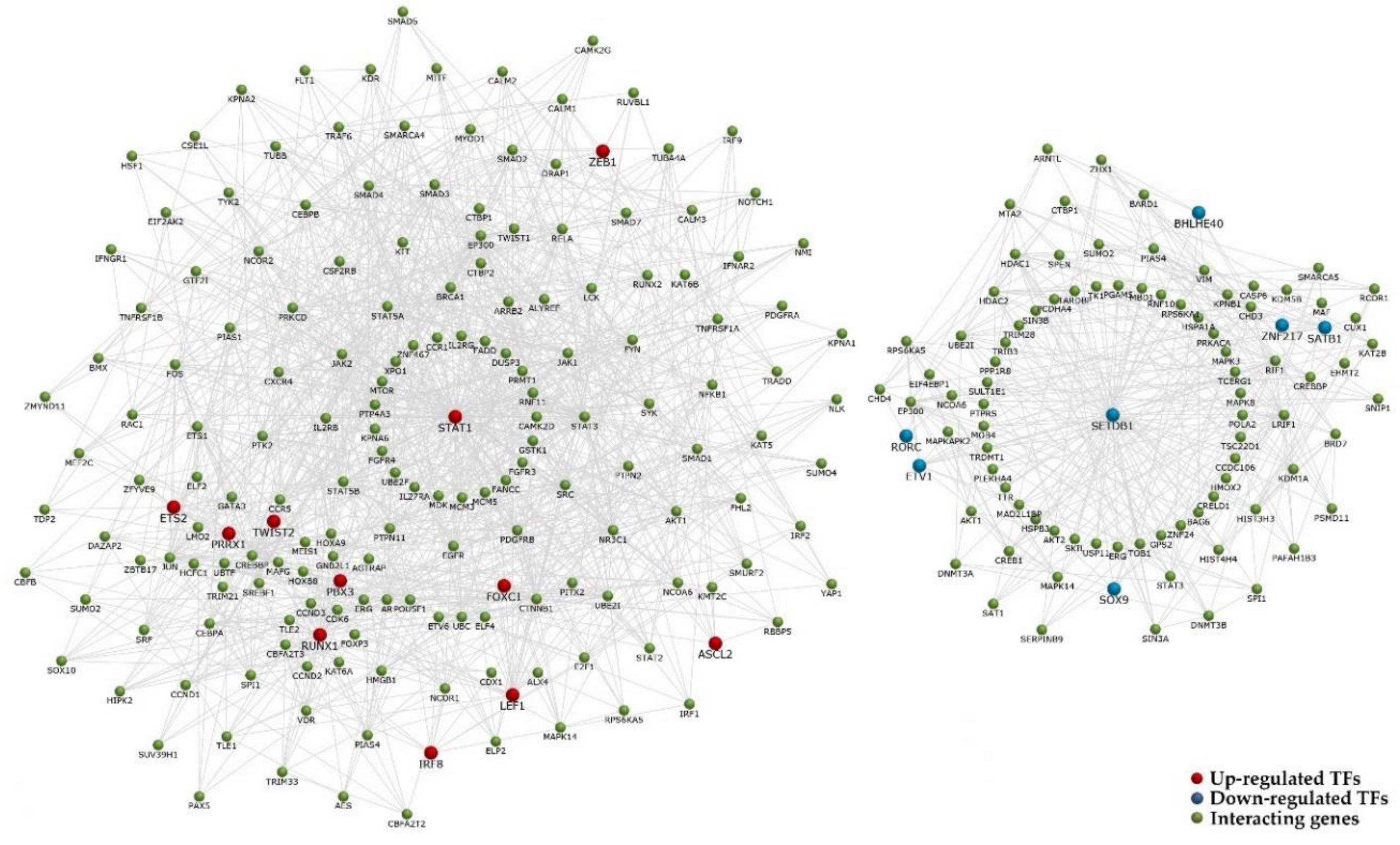 Ijms 21 09651 g008 Ijms 21 09651 g008