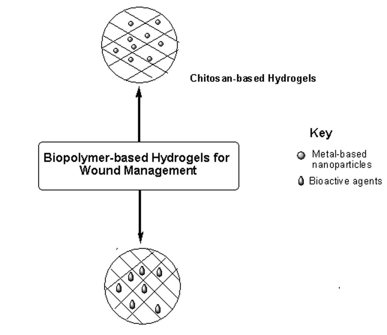 Ijms Free Full Text Chitosan And Cellulose Based Hydrogels For Wound Management Html