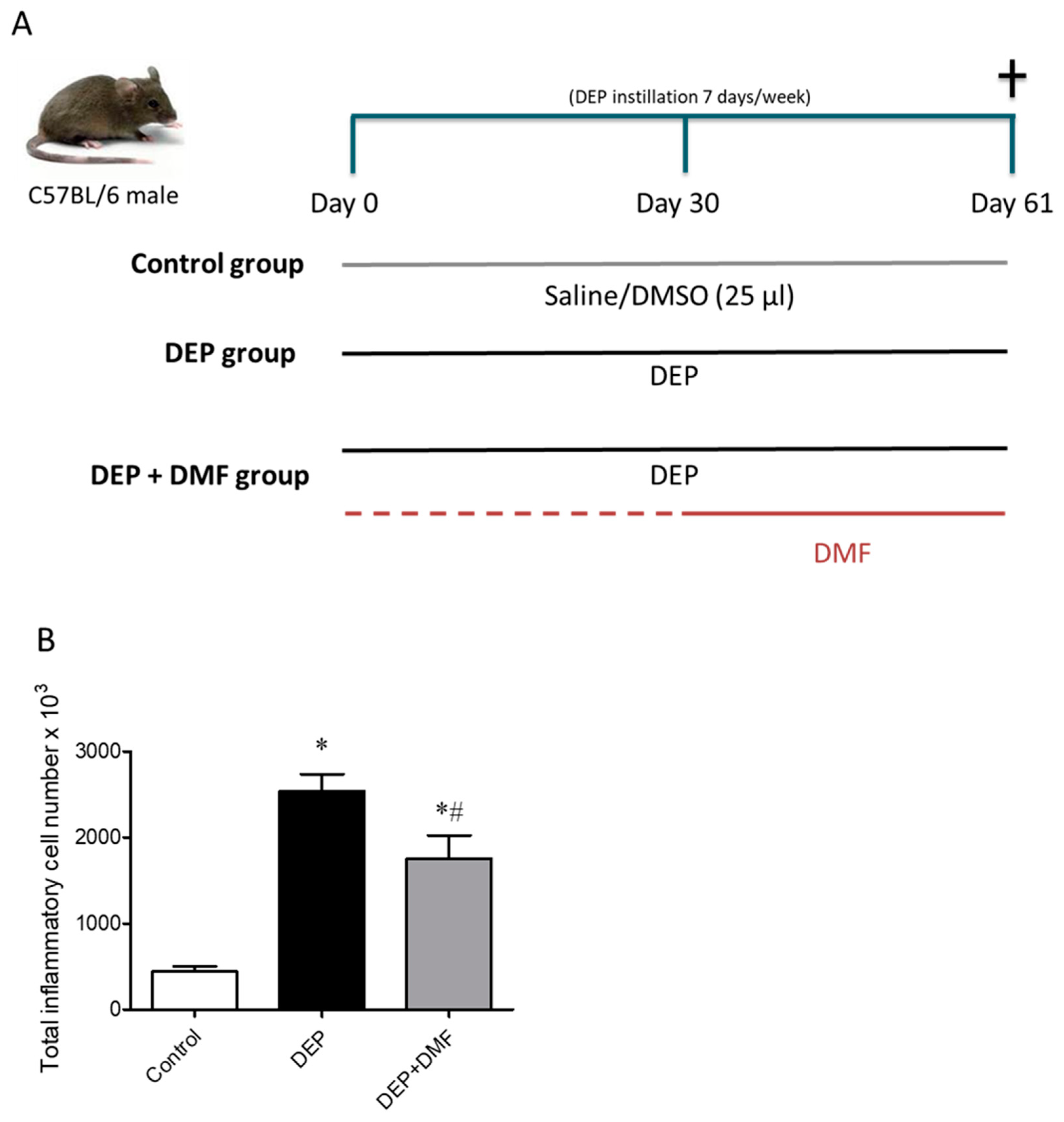 Ijms 21 09658 g001 Ijms 21 09658 g001