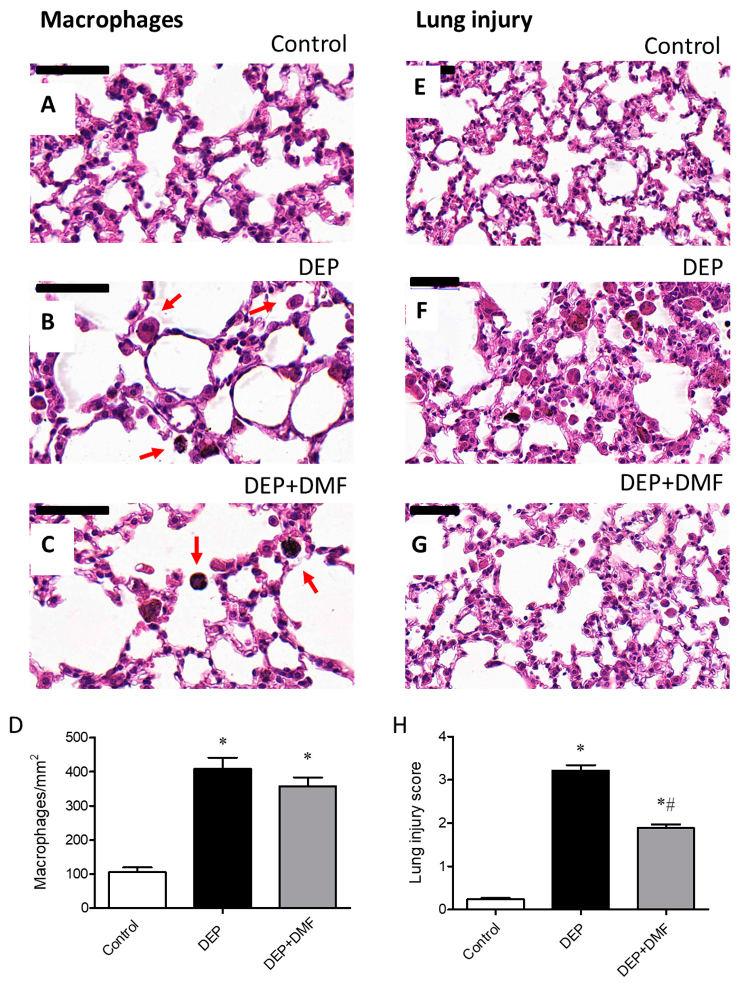 Ijms 21 09658 g002 Ijms 21 09658 g002